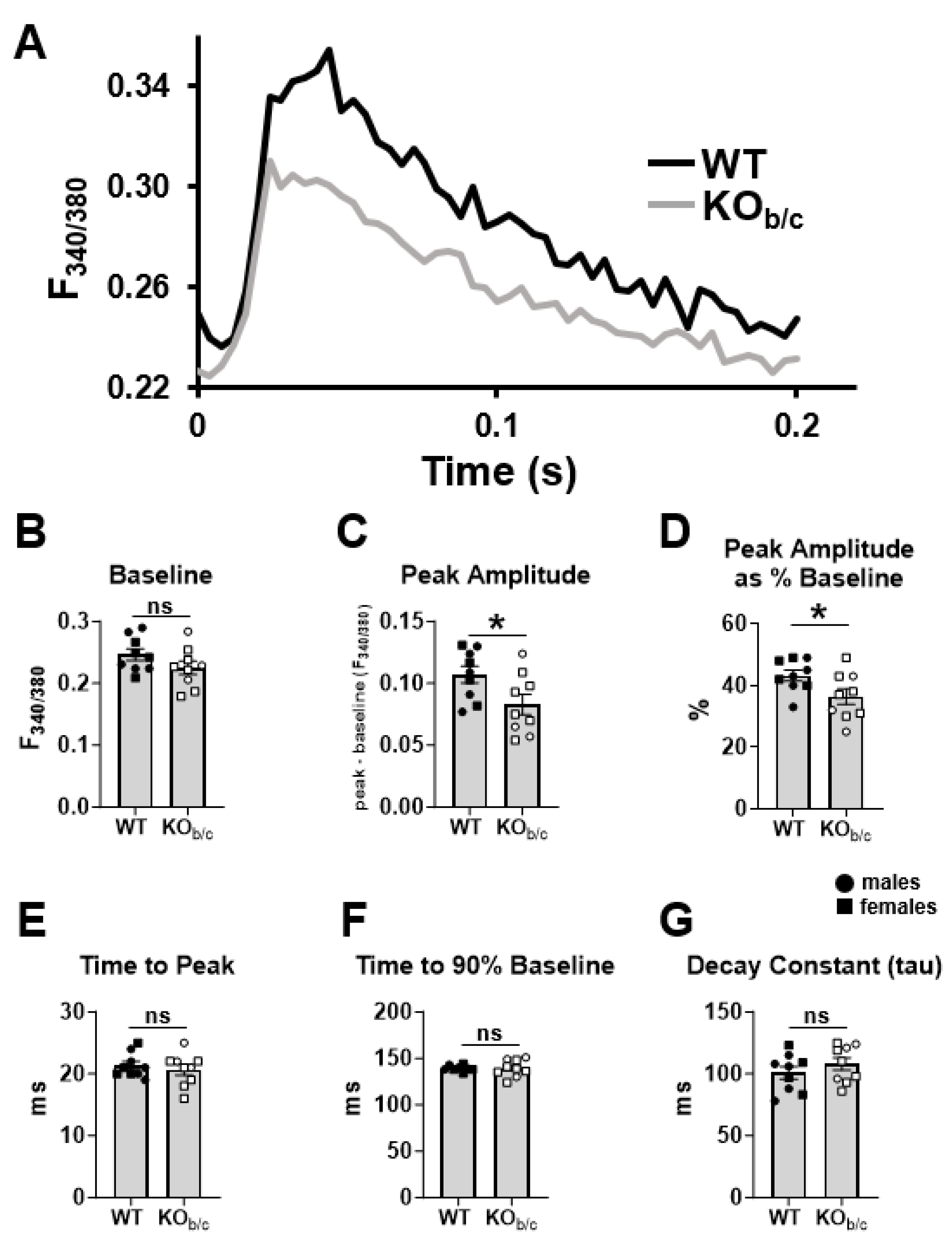 Ijms 25 09610 g008 Ijms 25 09610 g008