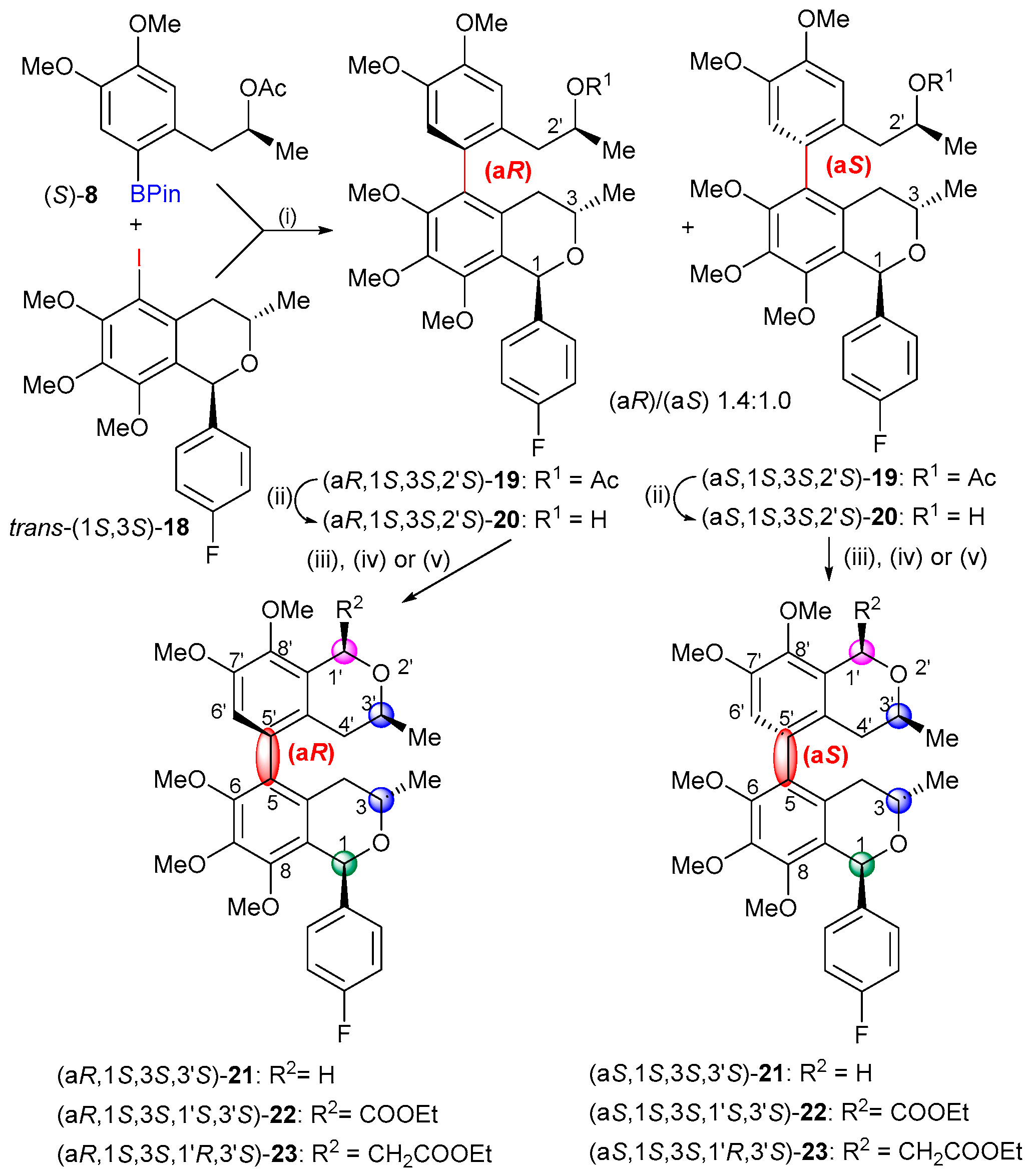 Ijms 25 09657 sch003