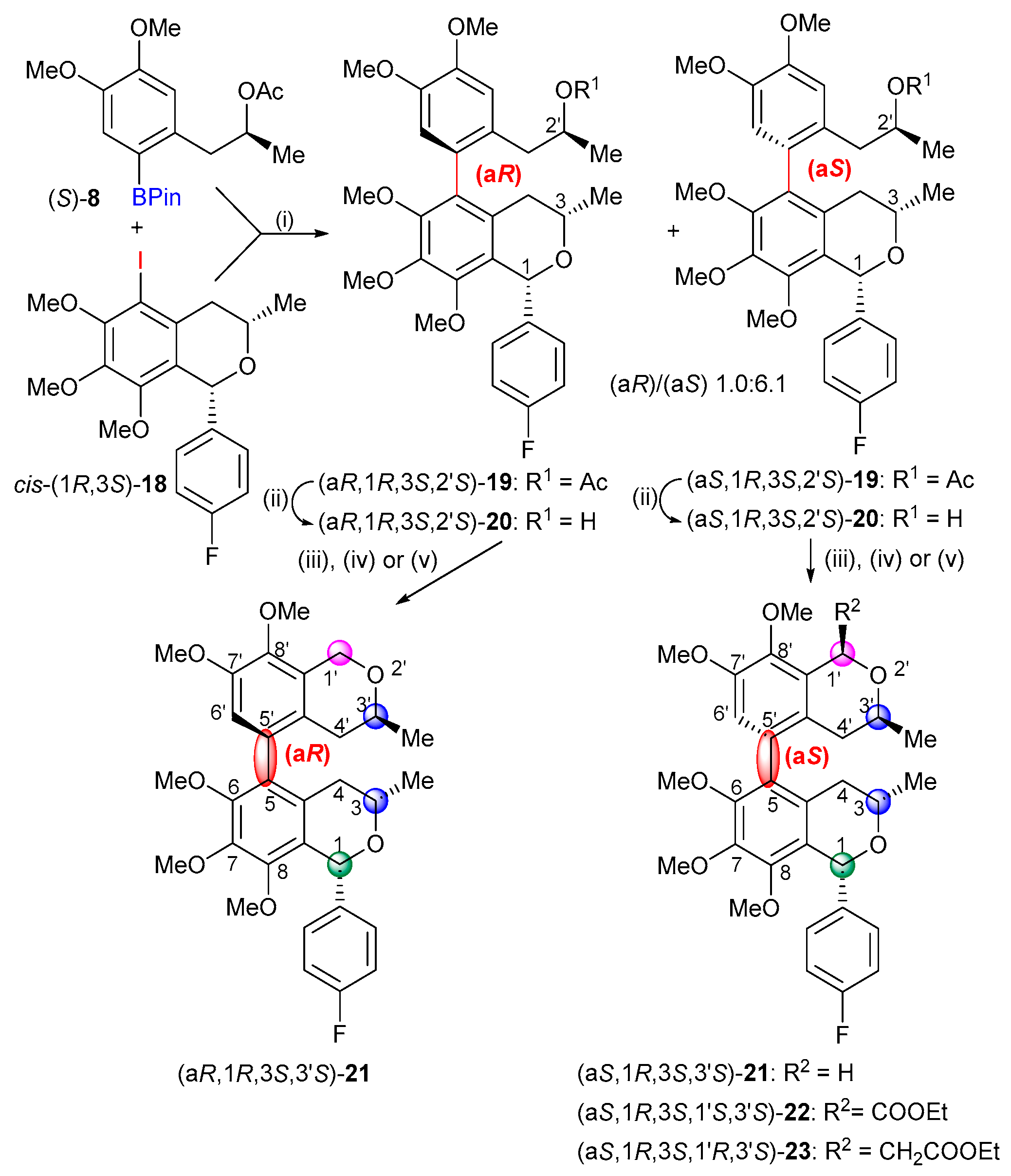 Ijms 25 09657 sch004
