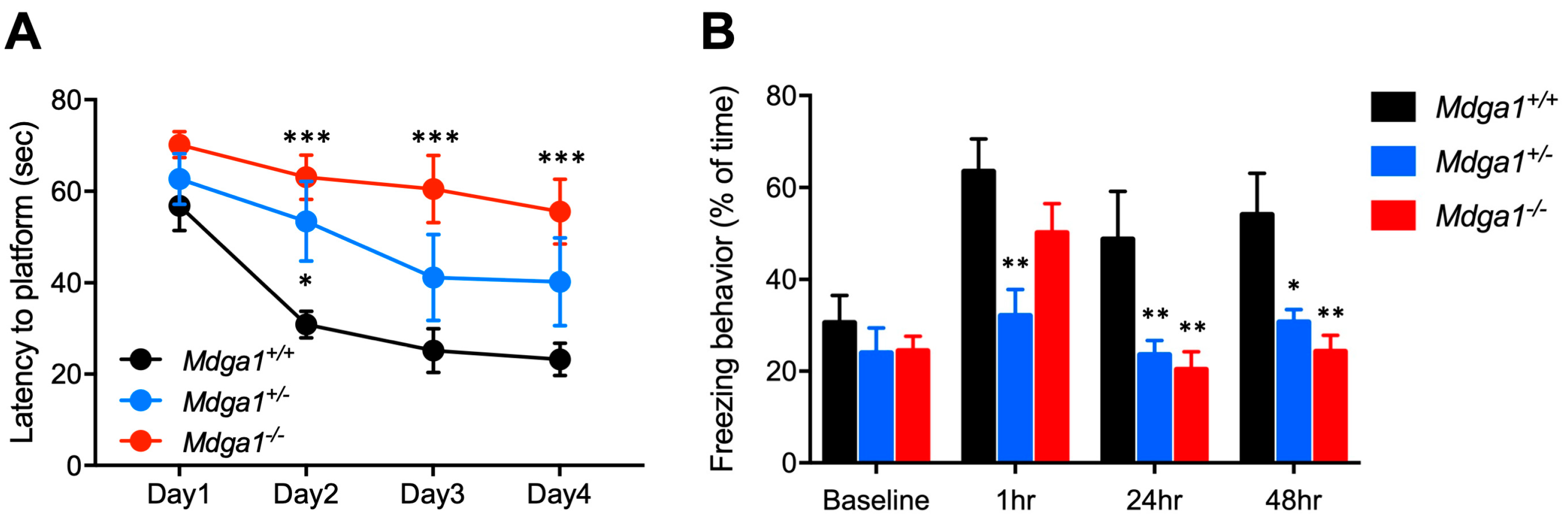 Ijms 25 09674 g001 Ijms 25 09674 g001