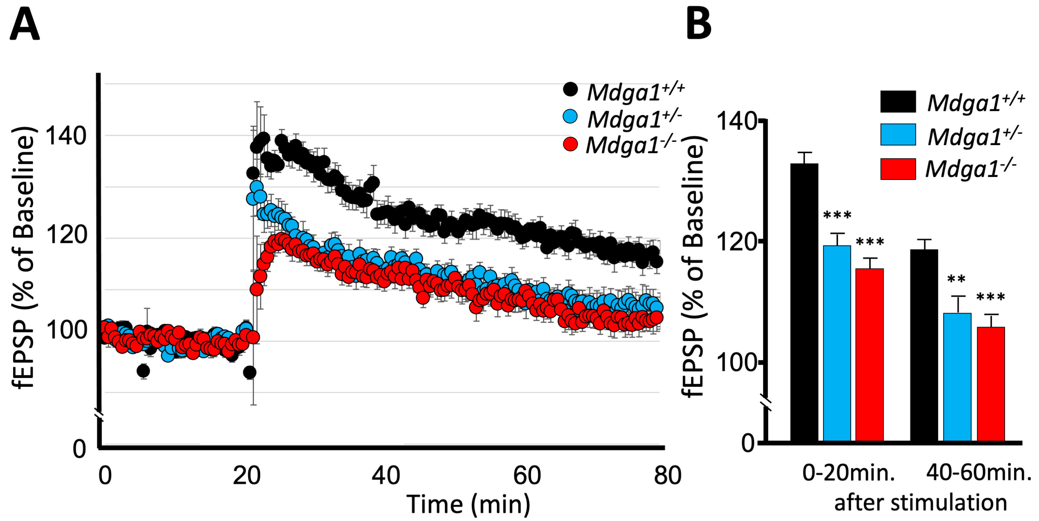 Ijms 25 09674 g002 Ijms 25 09674 g002
