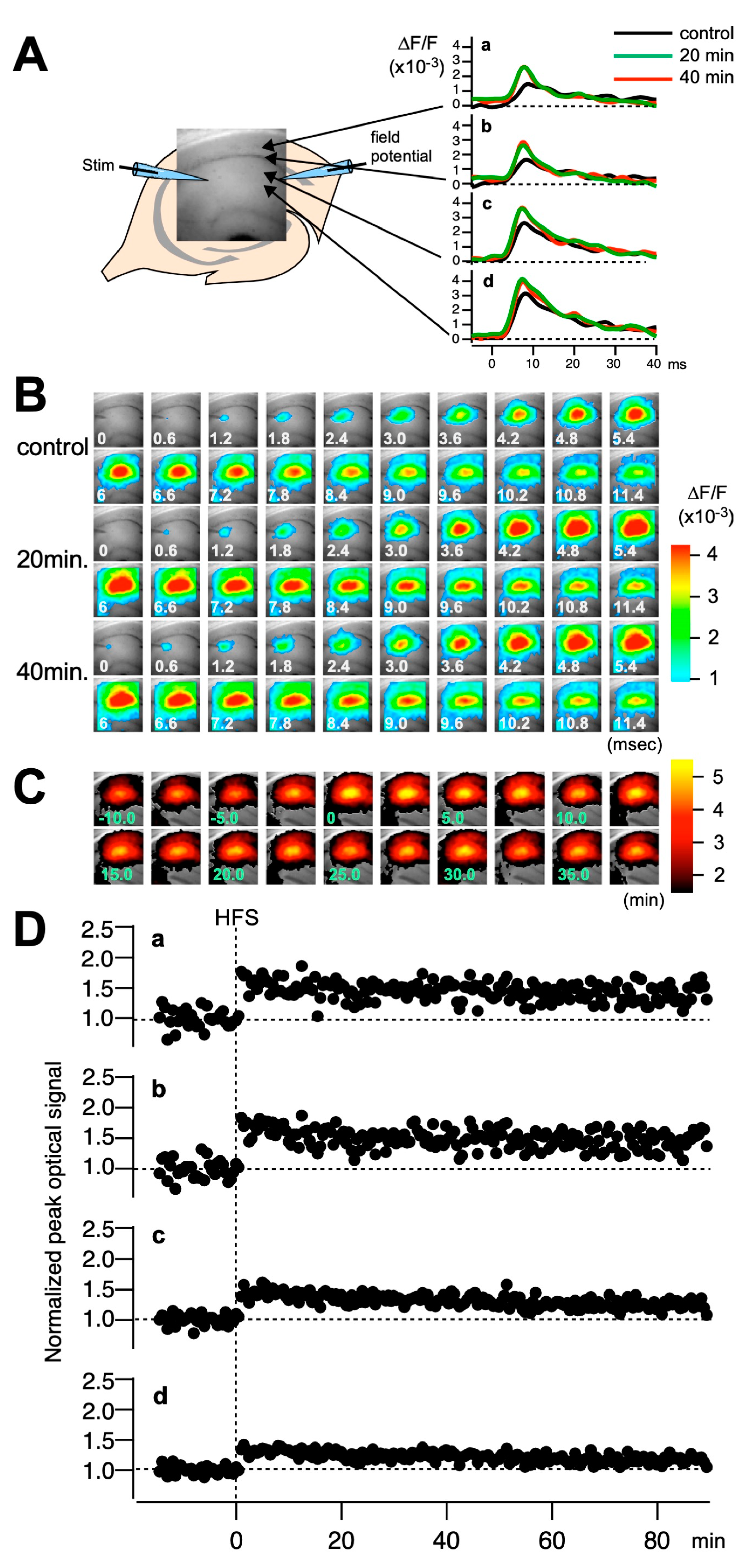 Ijms 25 09674 g003 Ijms 25 09674 g003