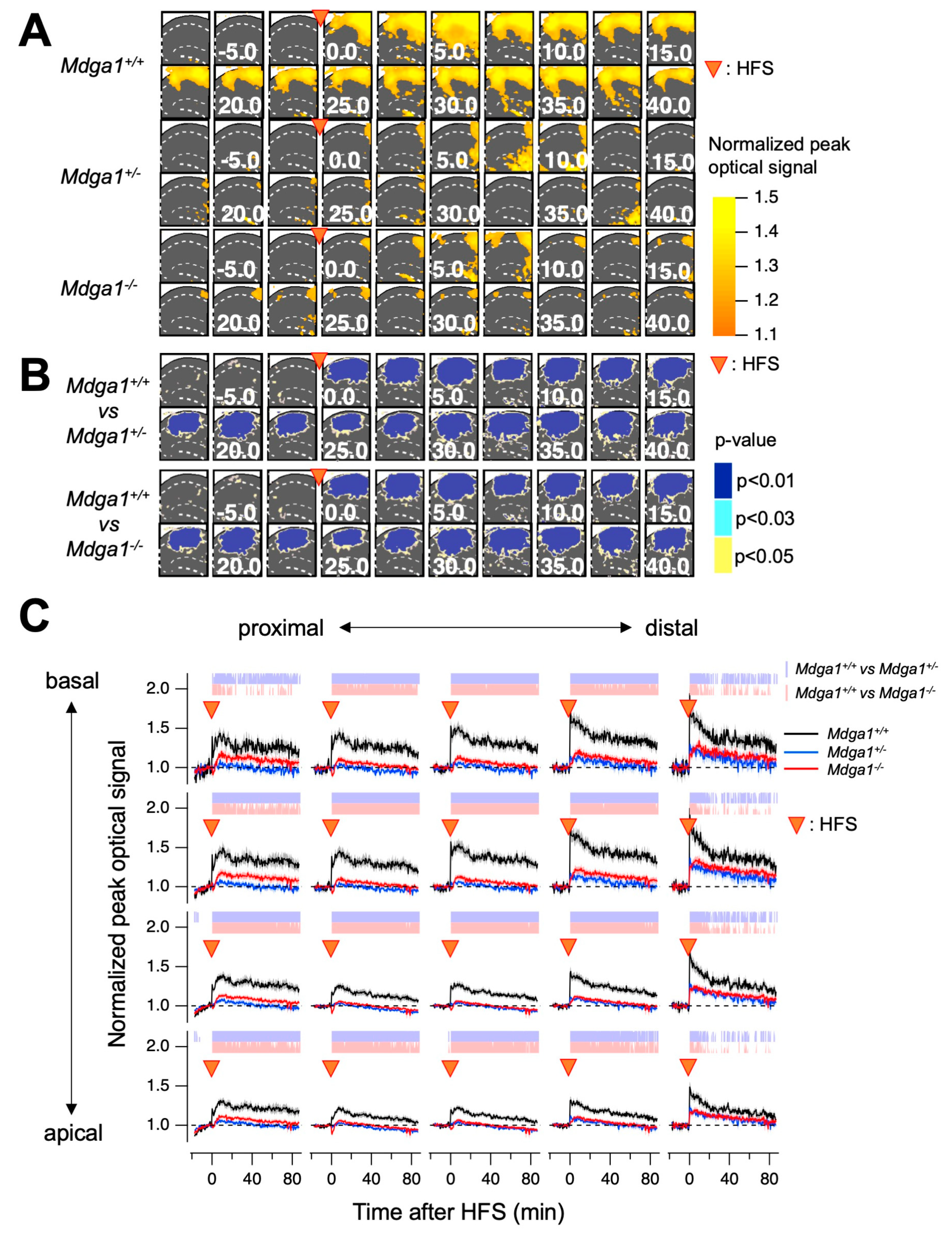 Ijms 25 09674 g004 Ijms 25 09674 g004