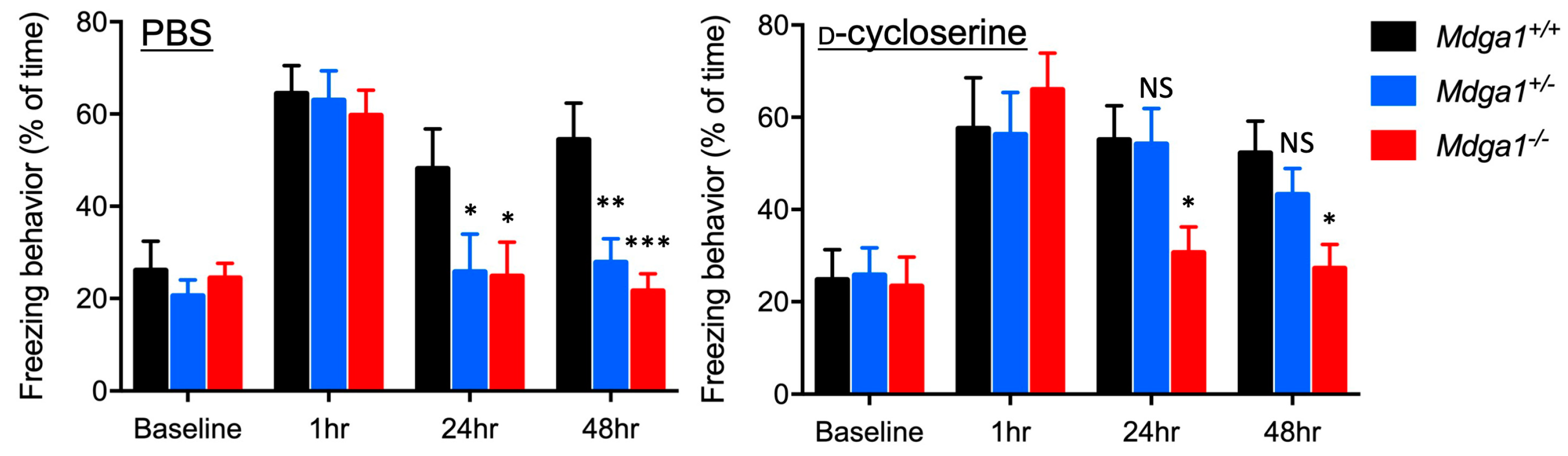 Ijms 25 09674 g006 Ijms 25 09674 g006