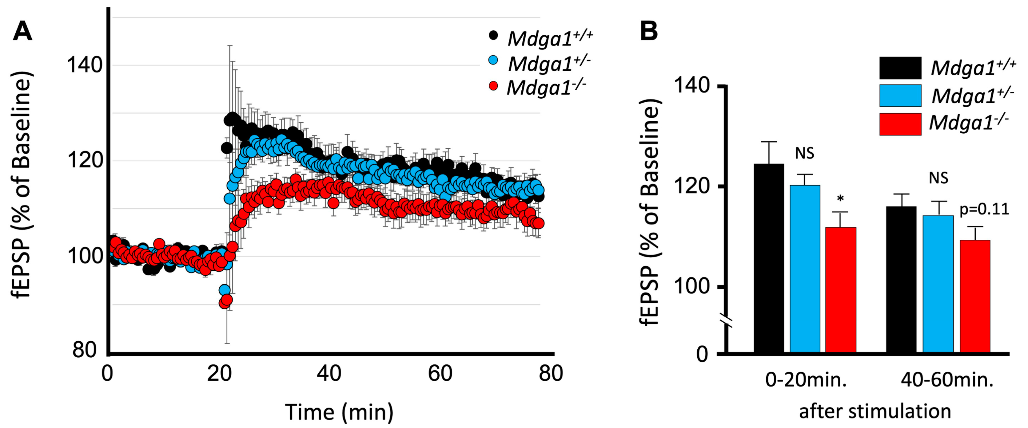Ijms 25 09674 g007 Ijms 25 09674 g007