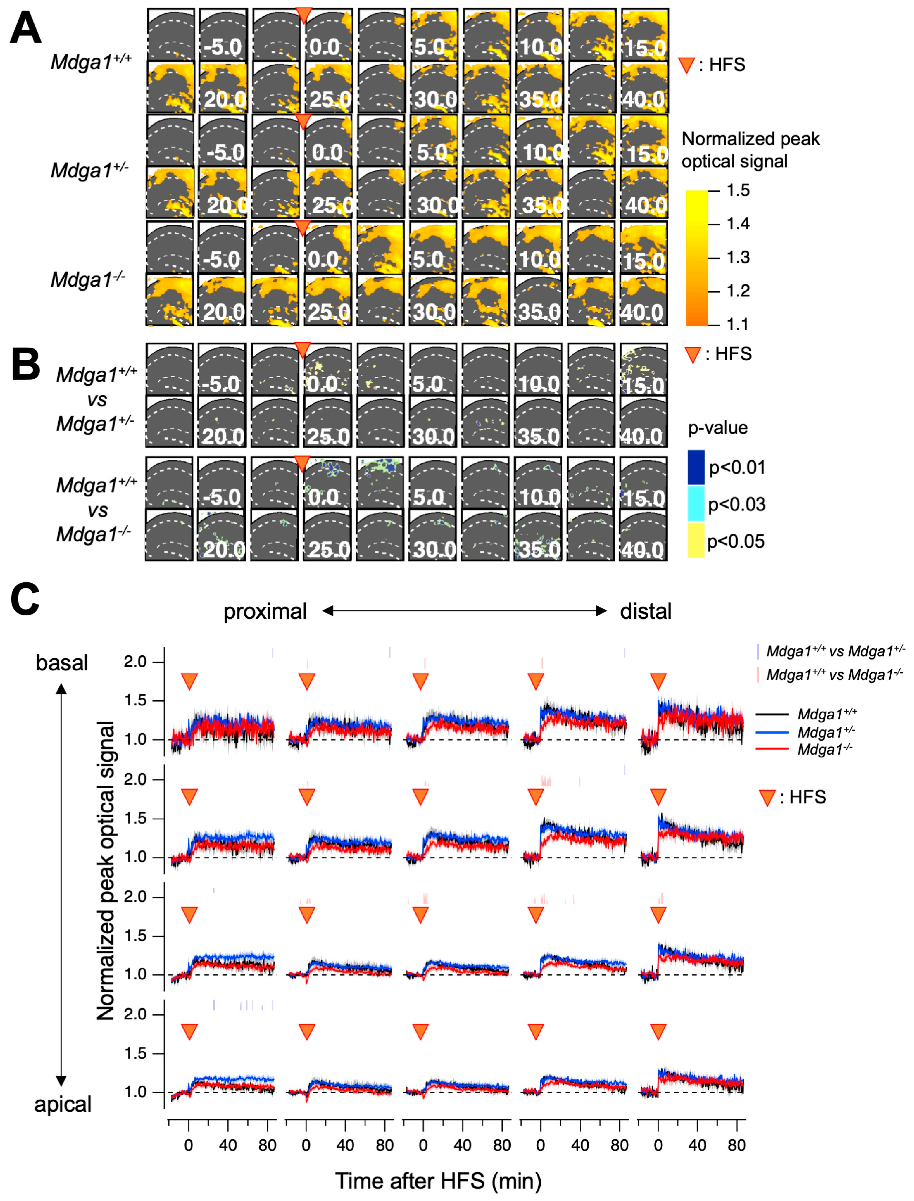 Ijms 25 09674 g008 Ijms 25 09674 g008