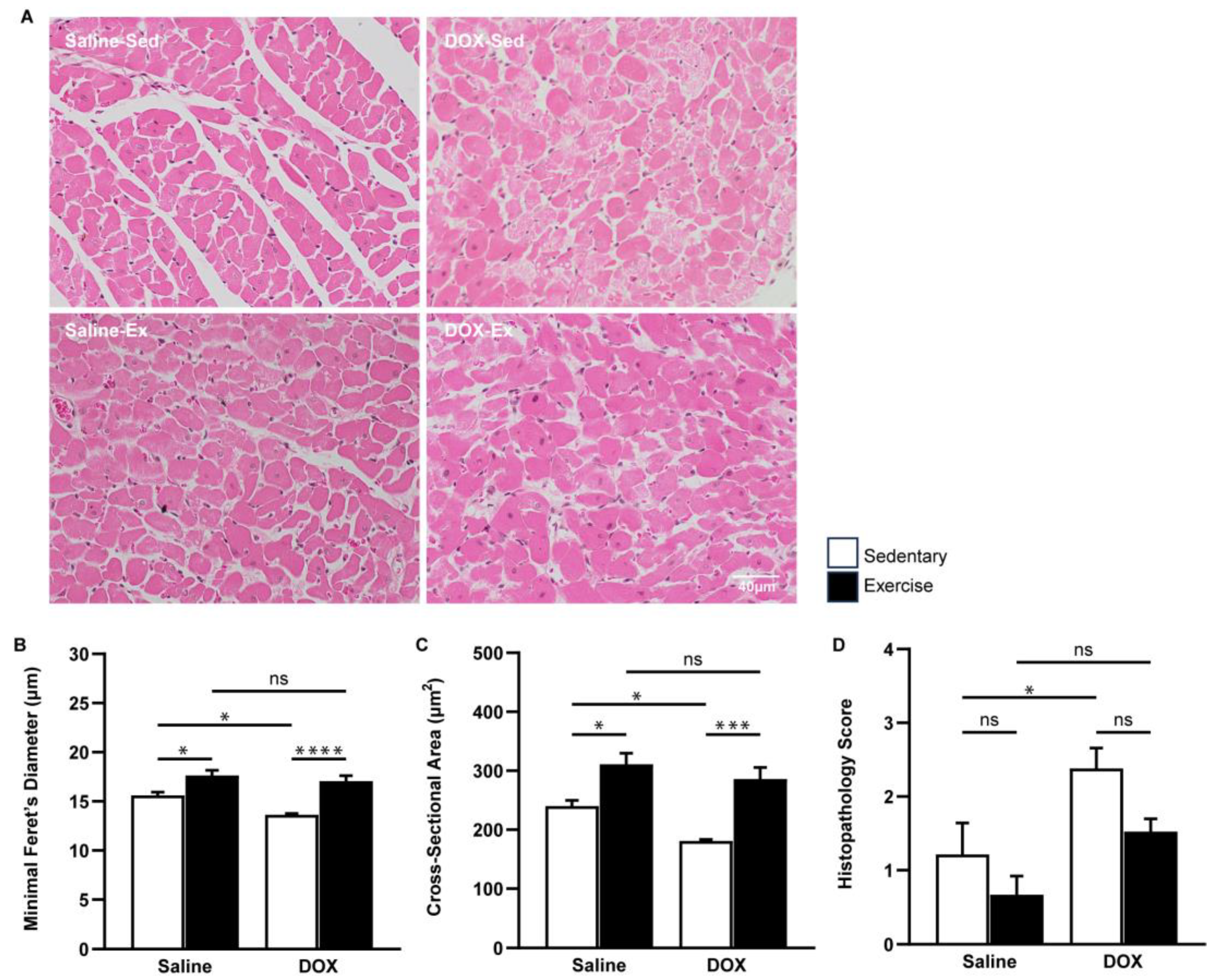 Ijms 25 09692 g002 Ijms 25 09692 g002