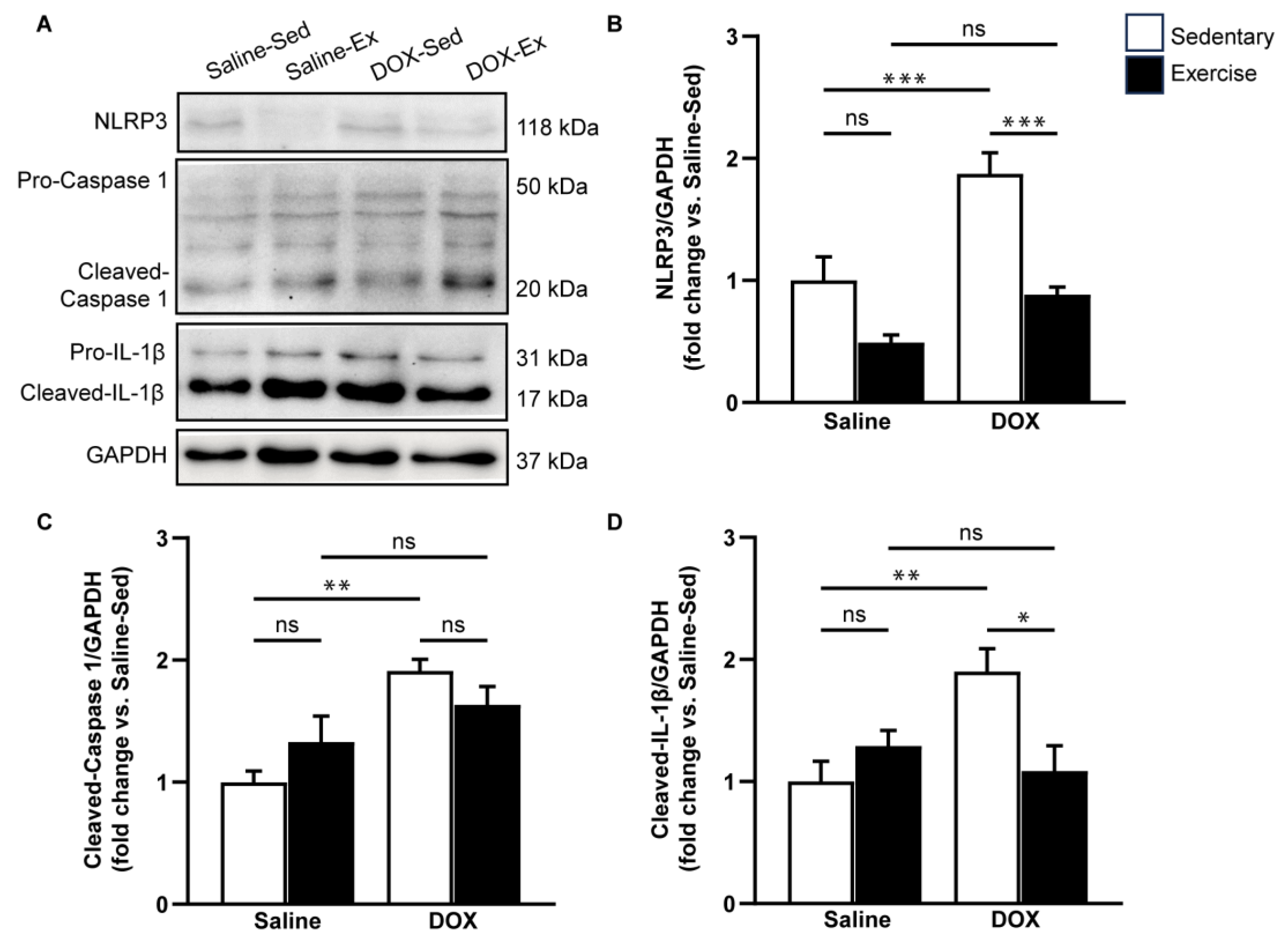 Ijms 25 09692 g005 Ijms 25 09692 g005