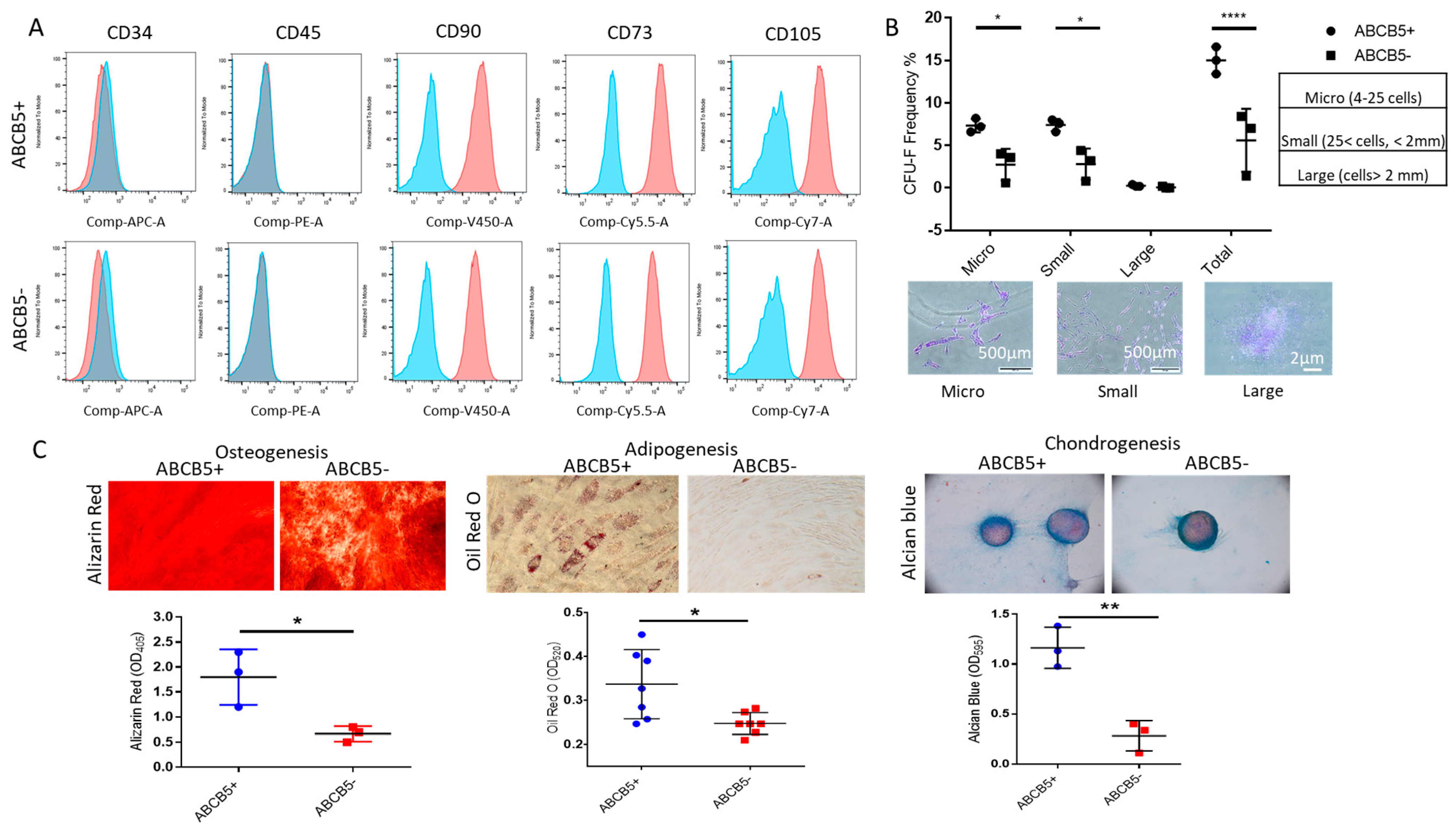 Ijms 25 09702 g003 Ijms 25 09702 g003