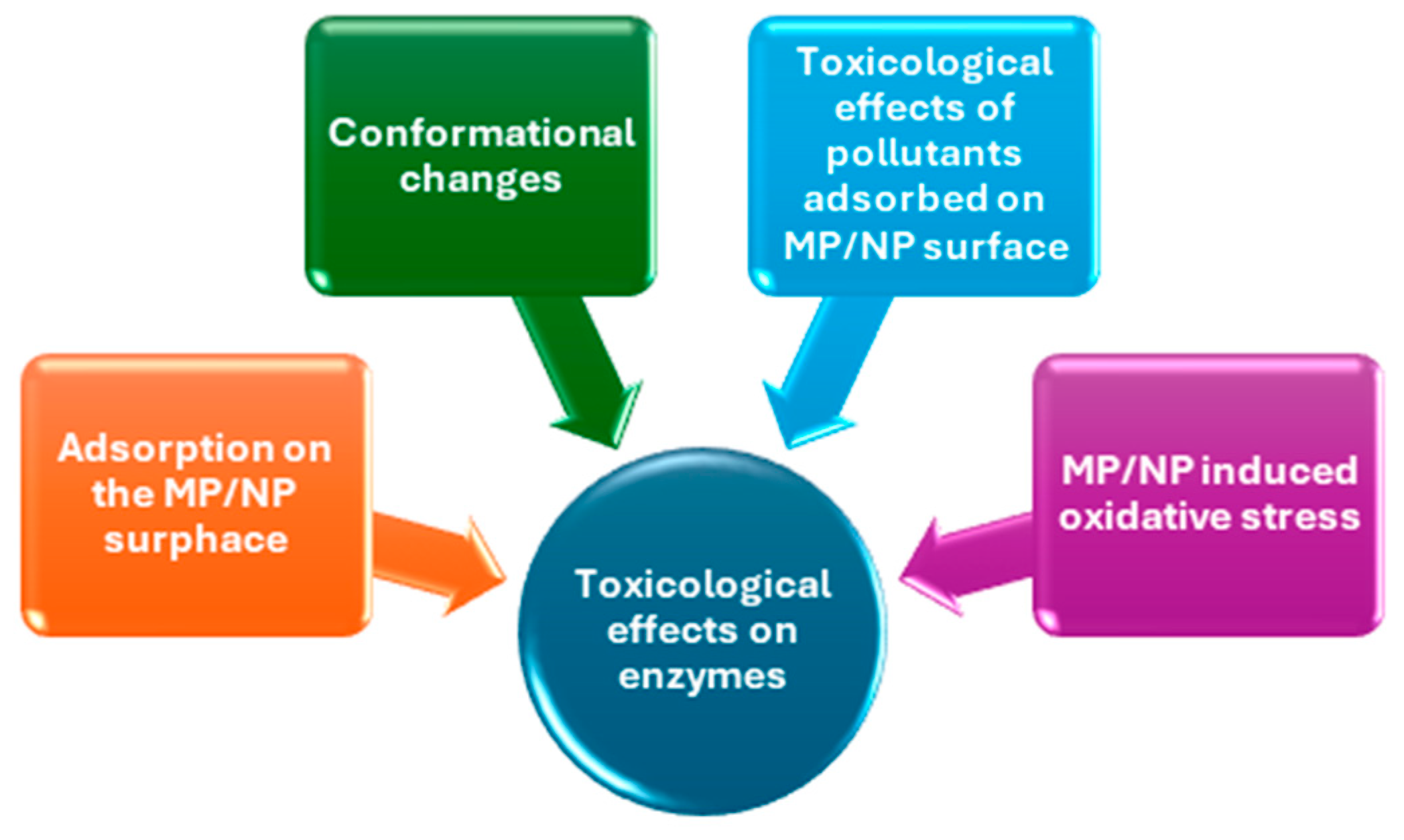 Ijms 25 09716 g002 Ijms 25 09716 g002