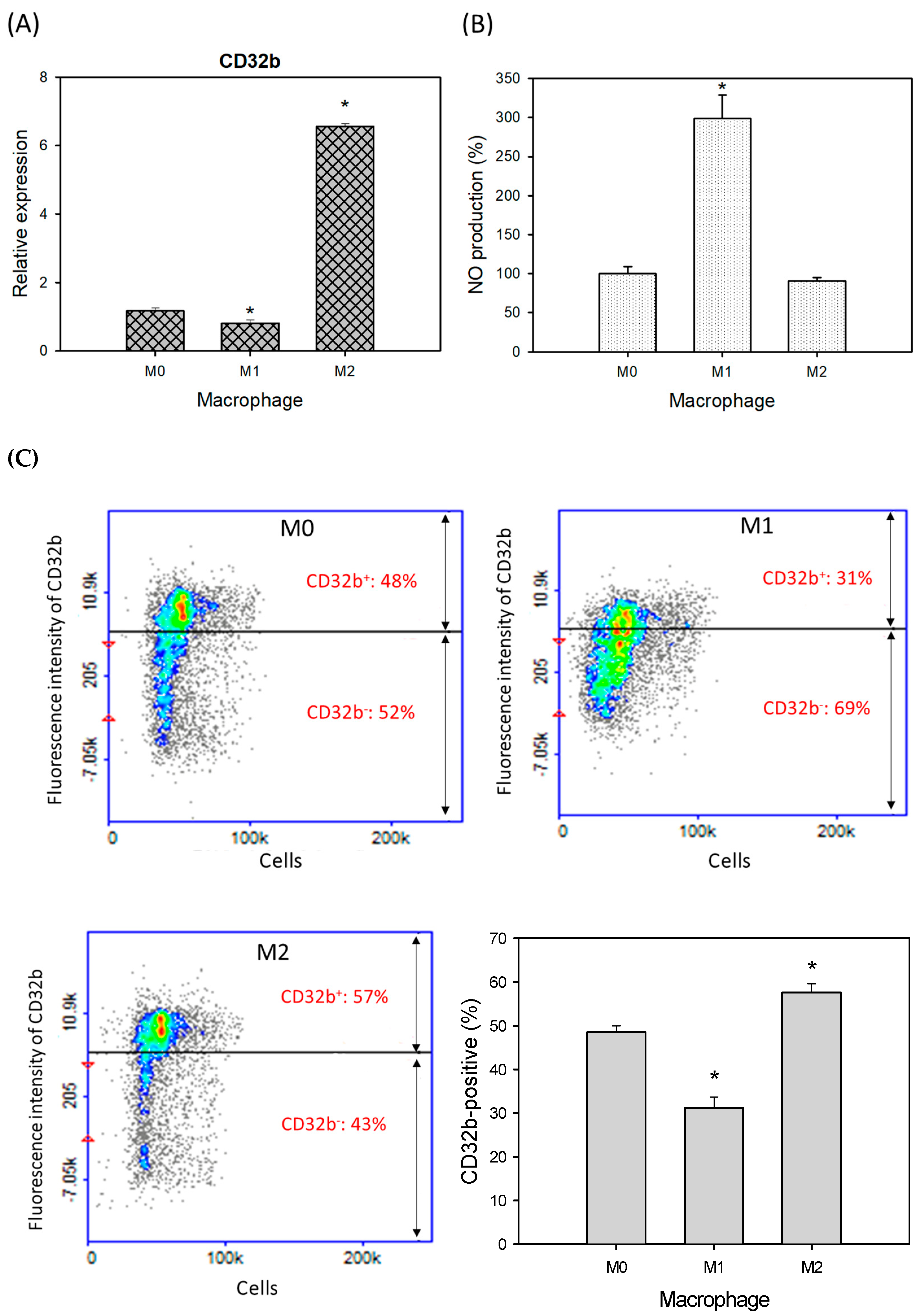 Ijms 25 09737 g001 Ijms 25 09737 g001