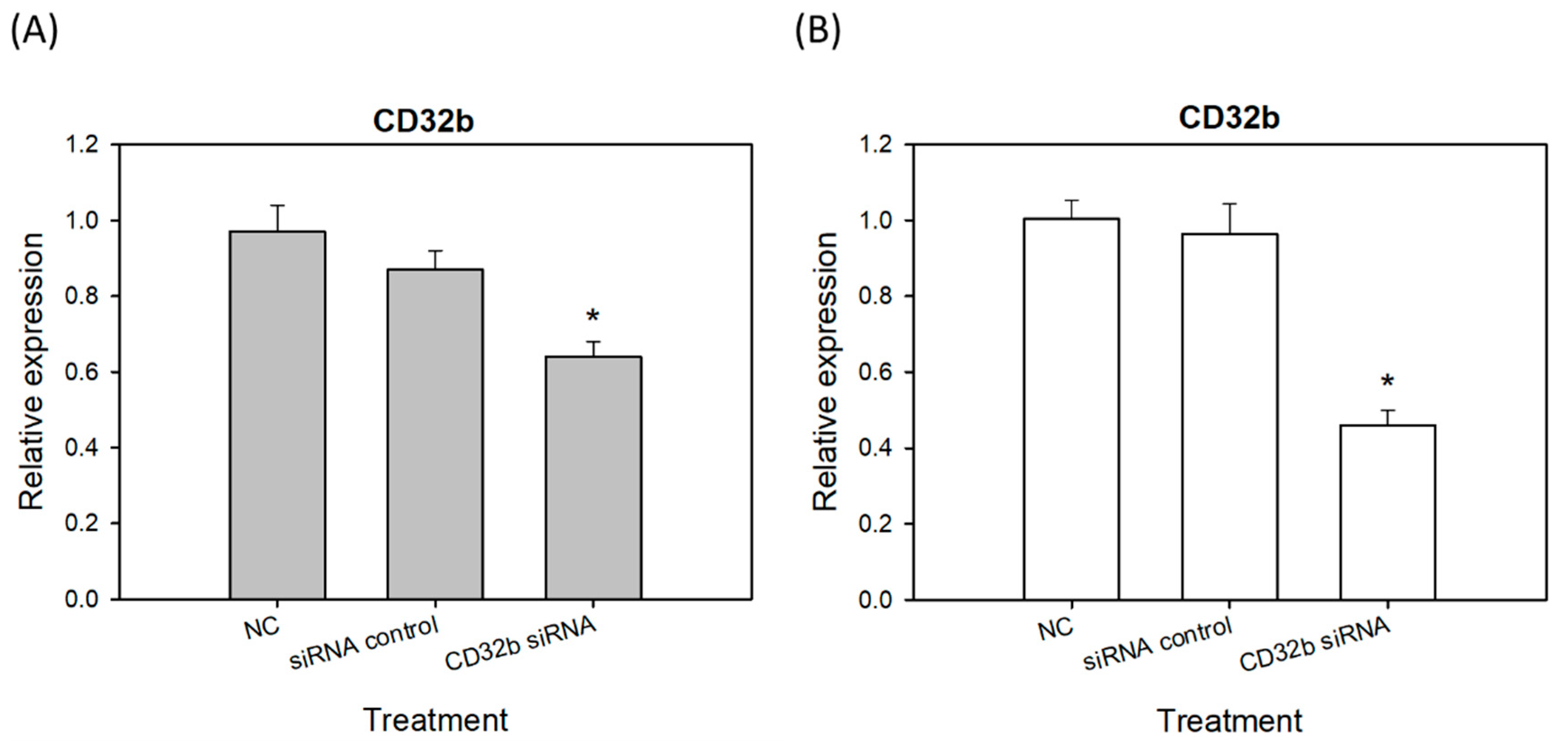 Ijms 25 09737 g002 Ijms 25 09737 g002