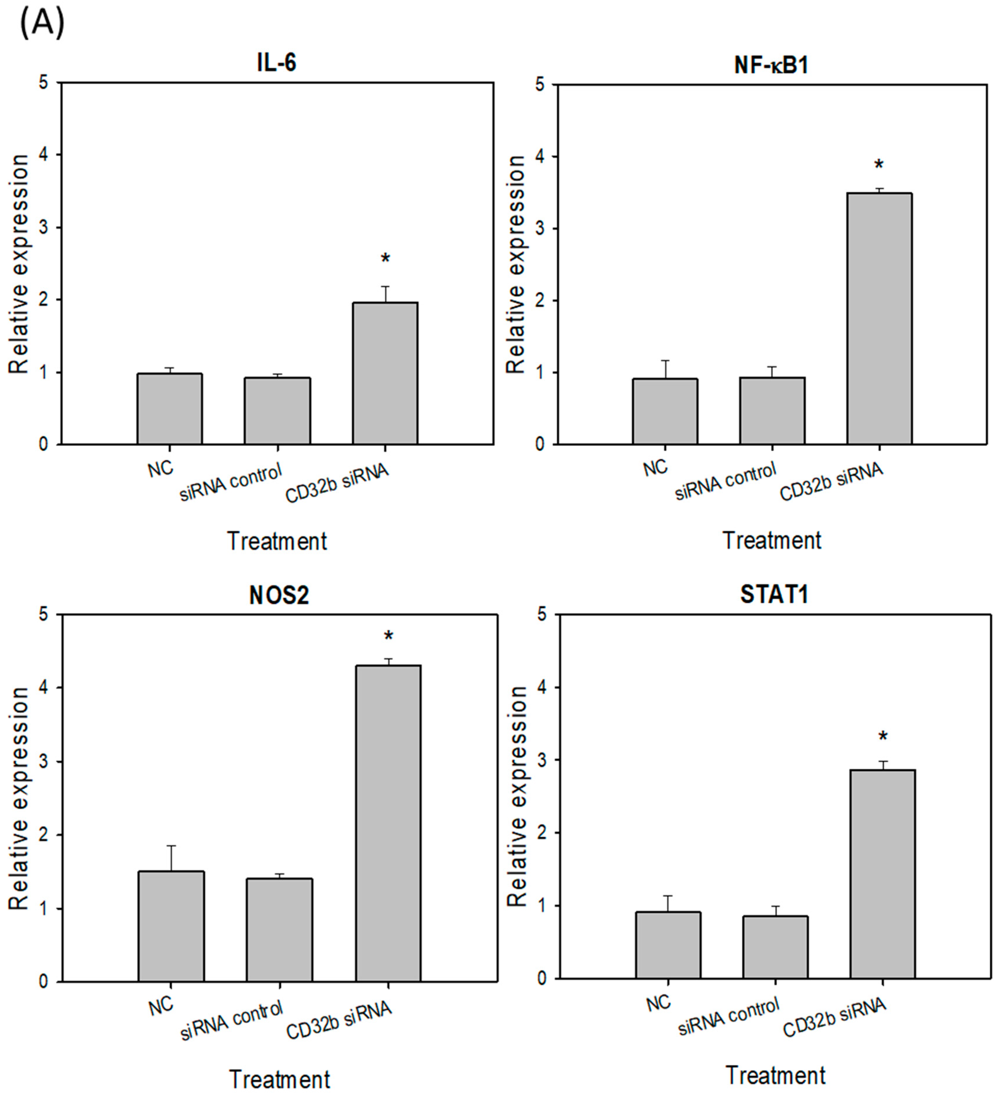 Ijms 25 09737 g003a Ijms 25 09737 g003a