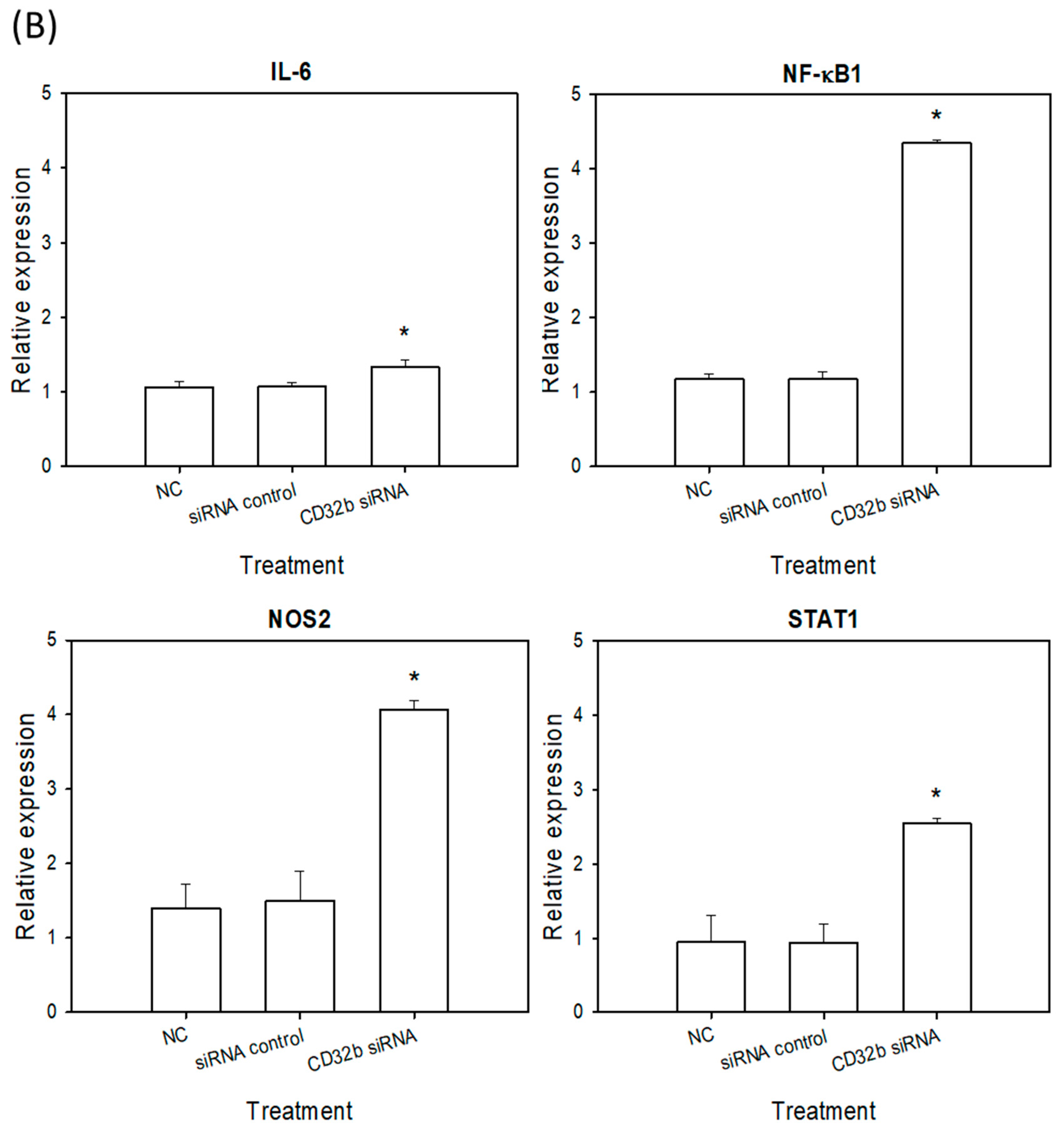 Ijms 25 09737 g003b Ijms 25 09737 g003b