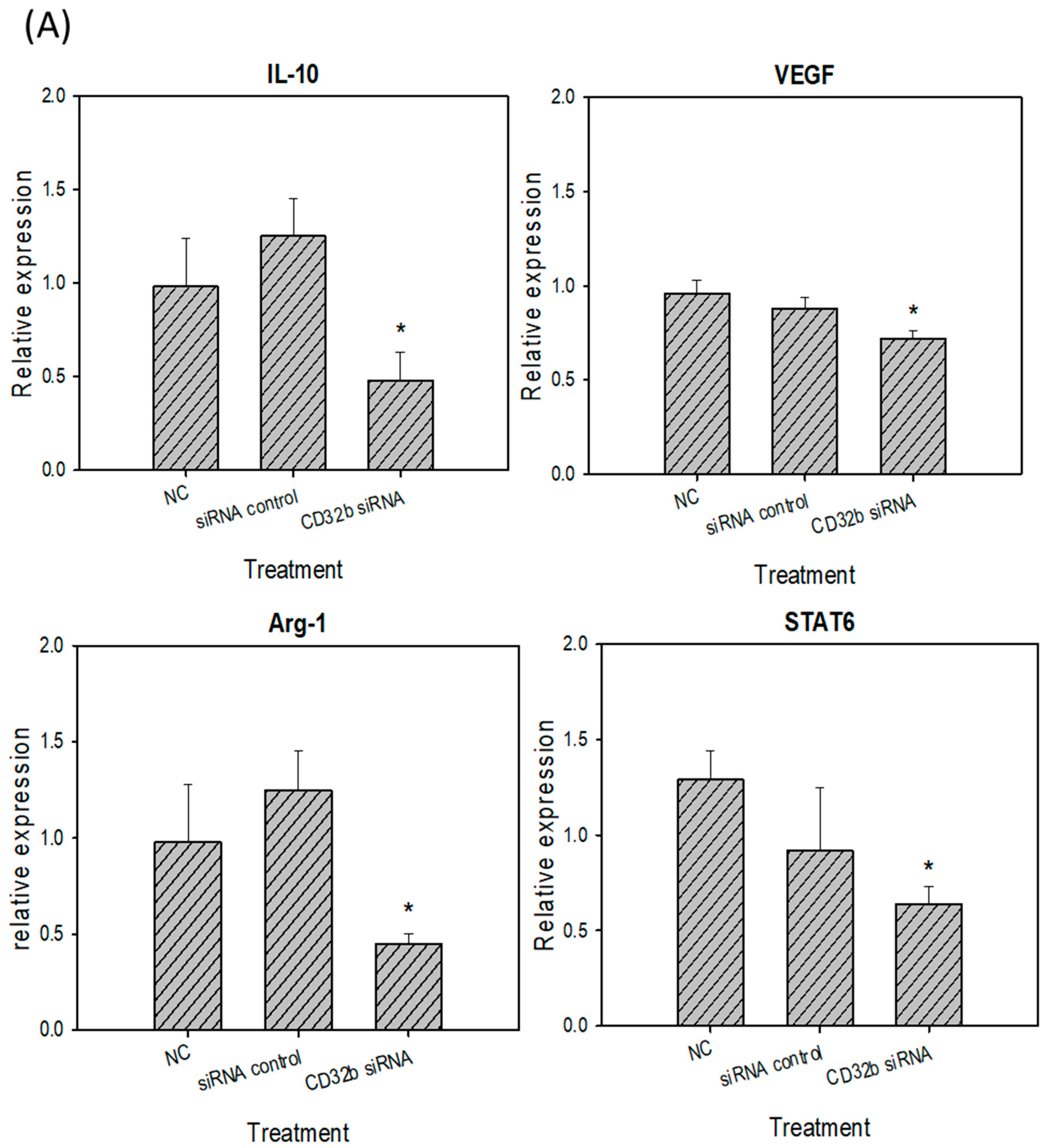 Ijms 25 09737 g004a Ijms 25 09737 g004a