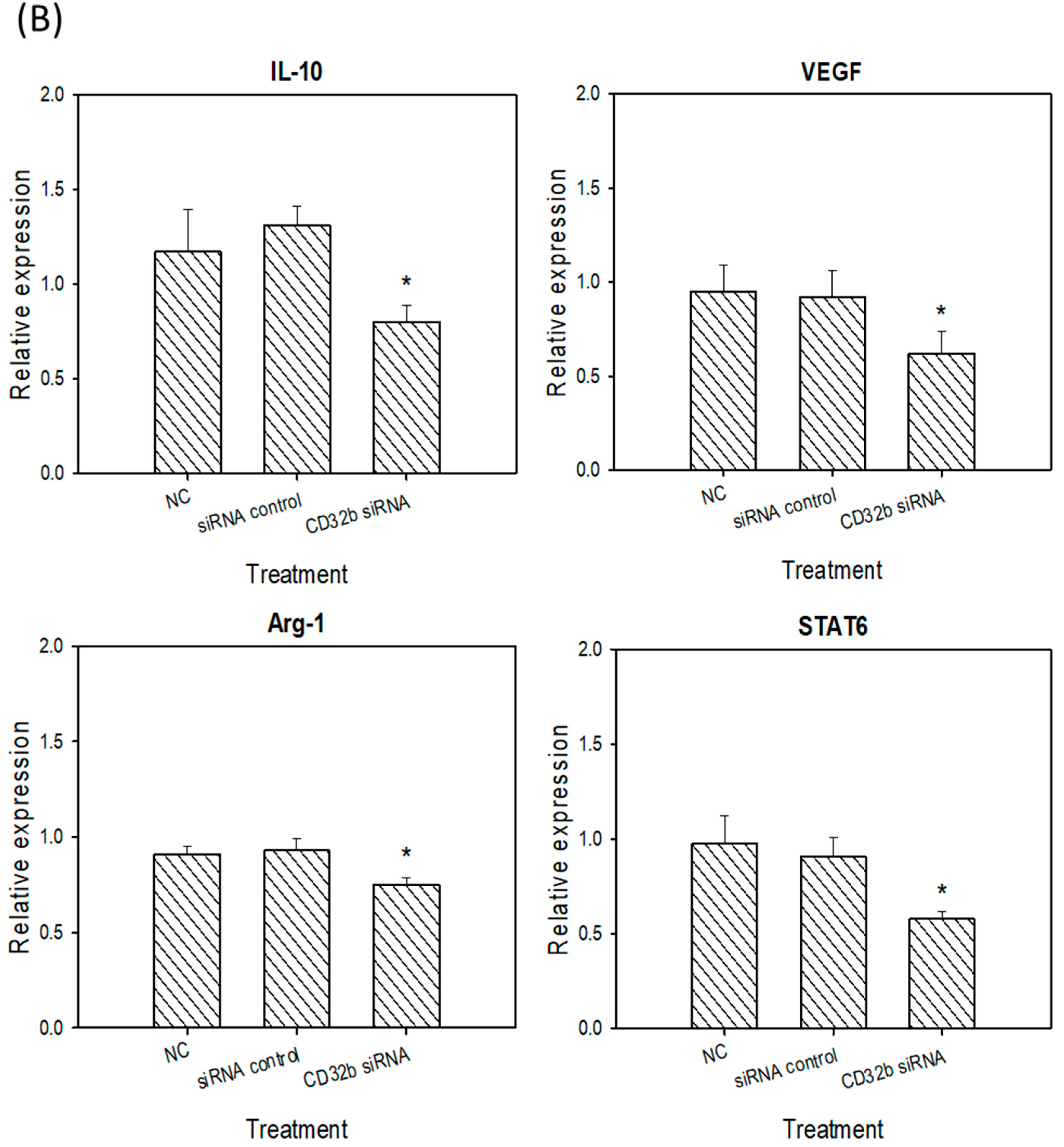 Ijms 25 09737 g004b Ijms 25 09737 g004b