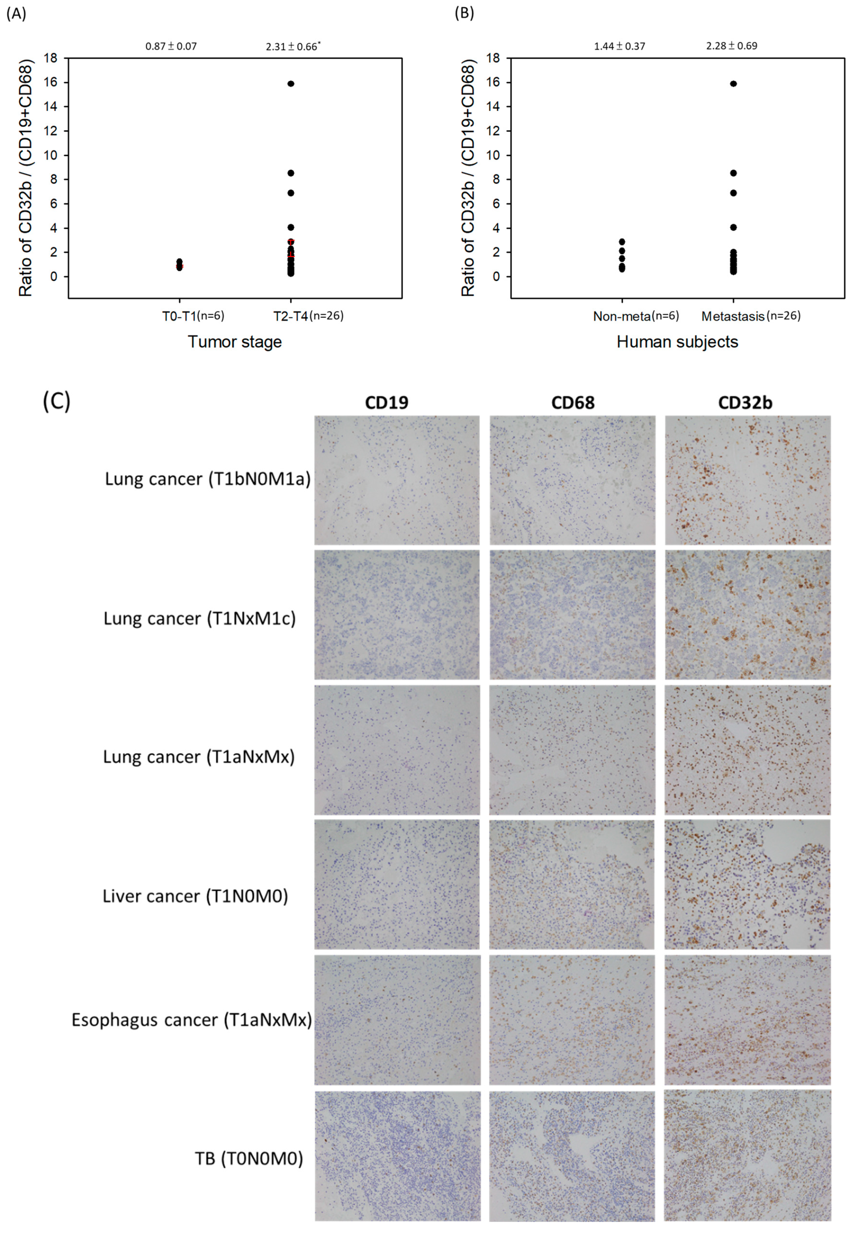 Ijms 25 09737 g005a Ijms 25 09737 g005a