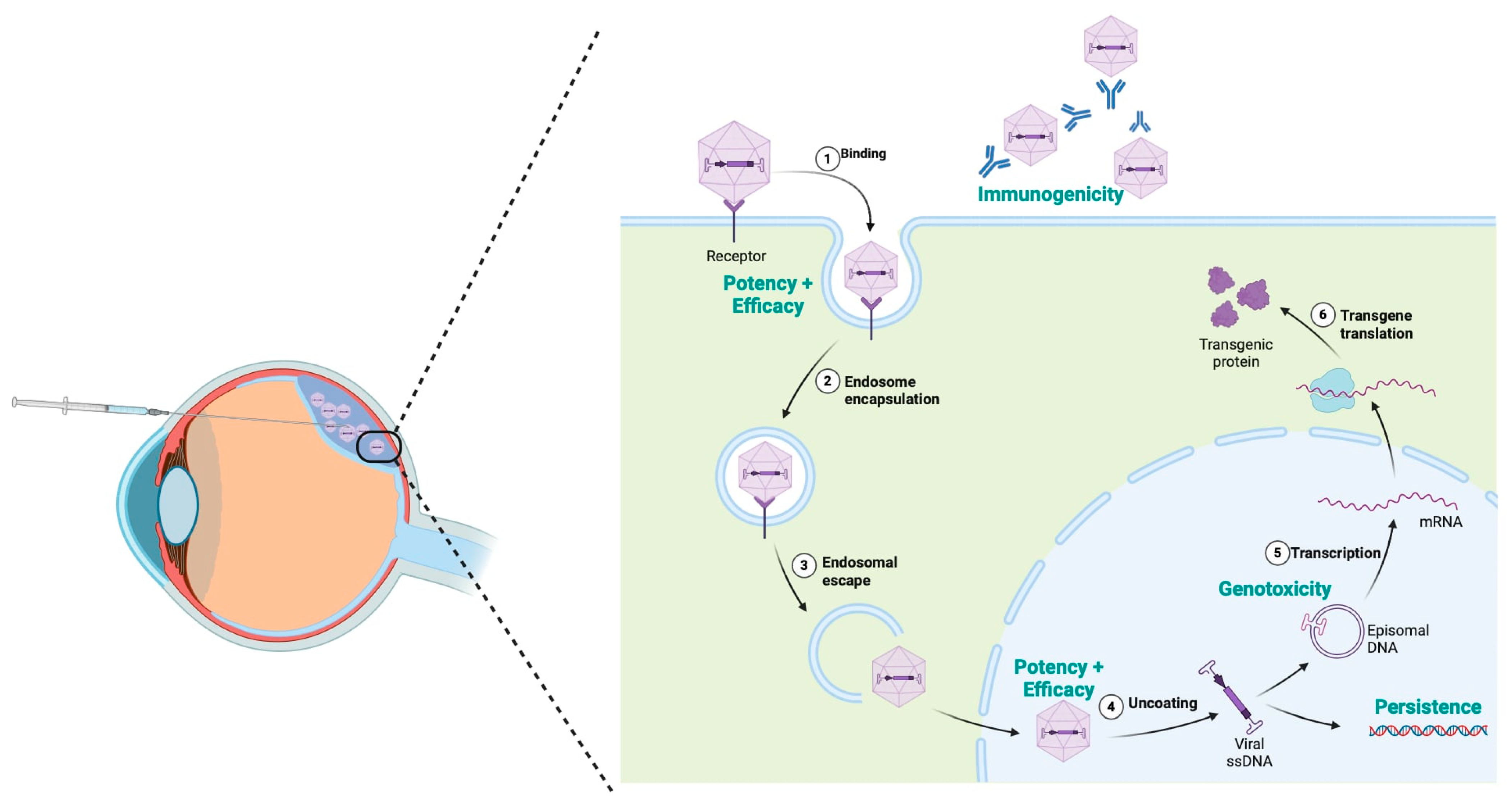 Ijms 25 09739 g003 Ijms 25 09739 g003
