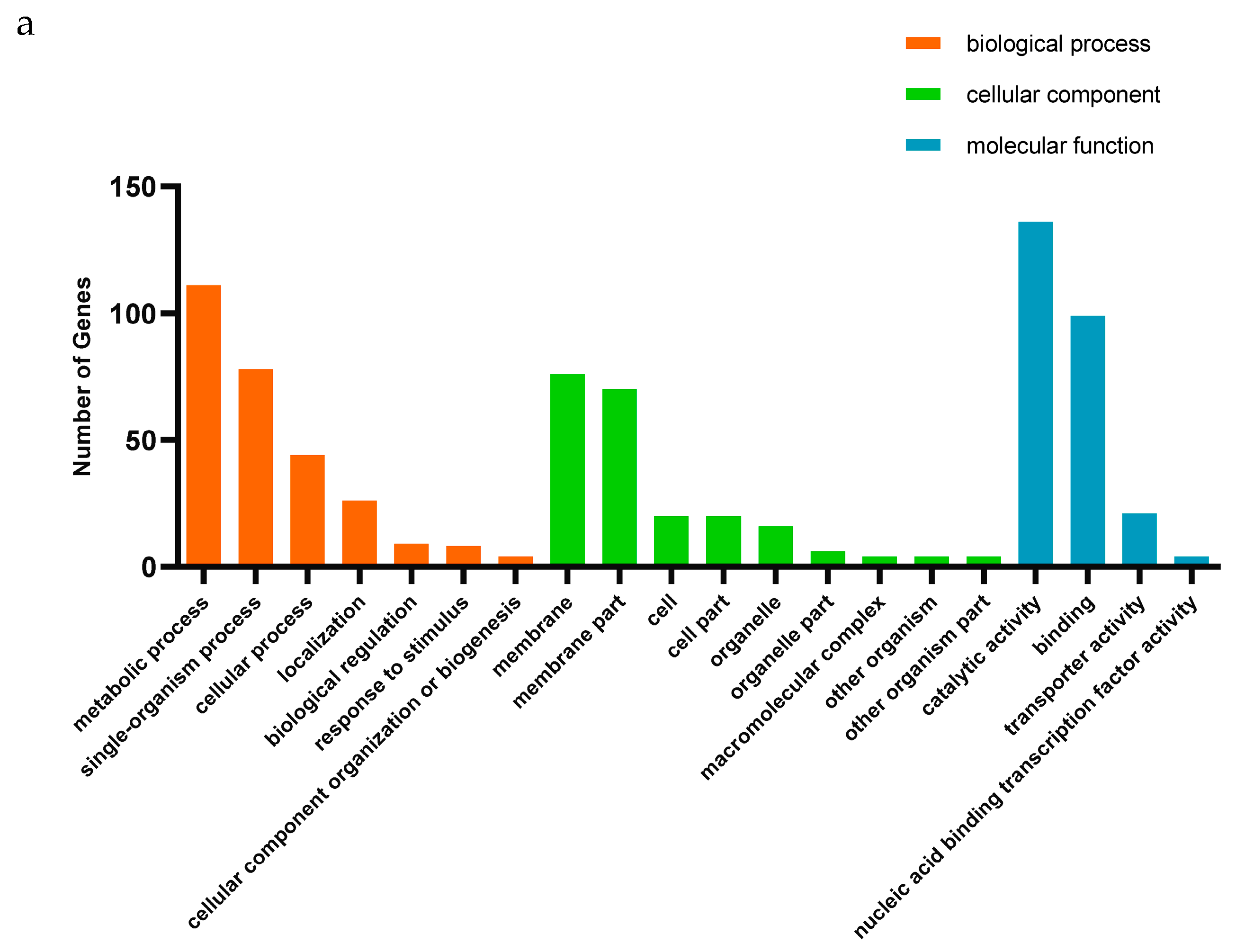 Ijms 25 09749 g005a Ijms 25 09749 g005a