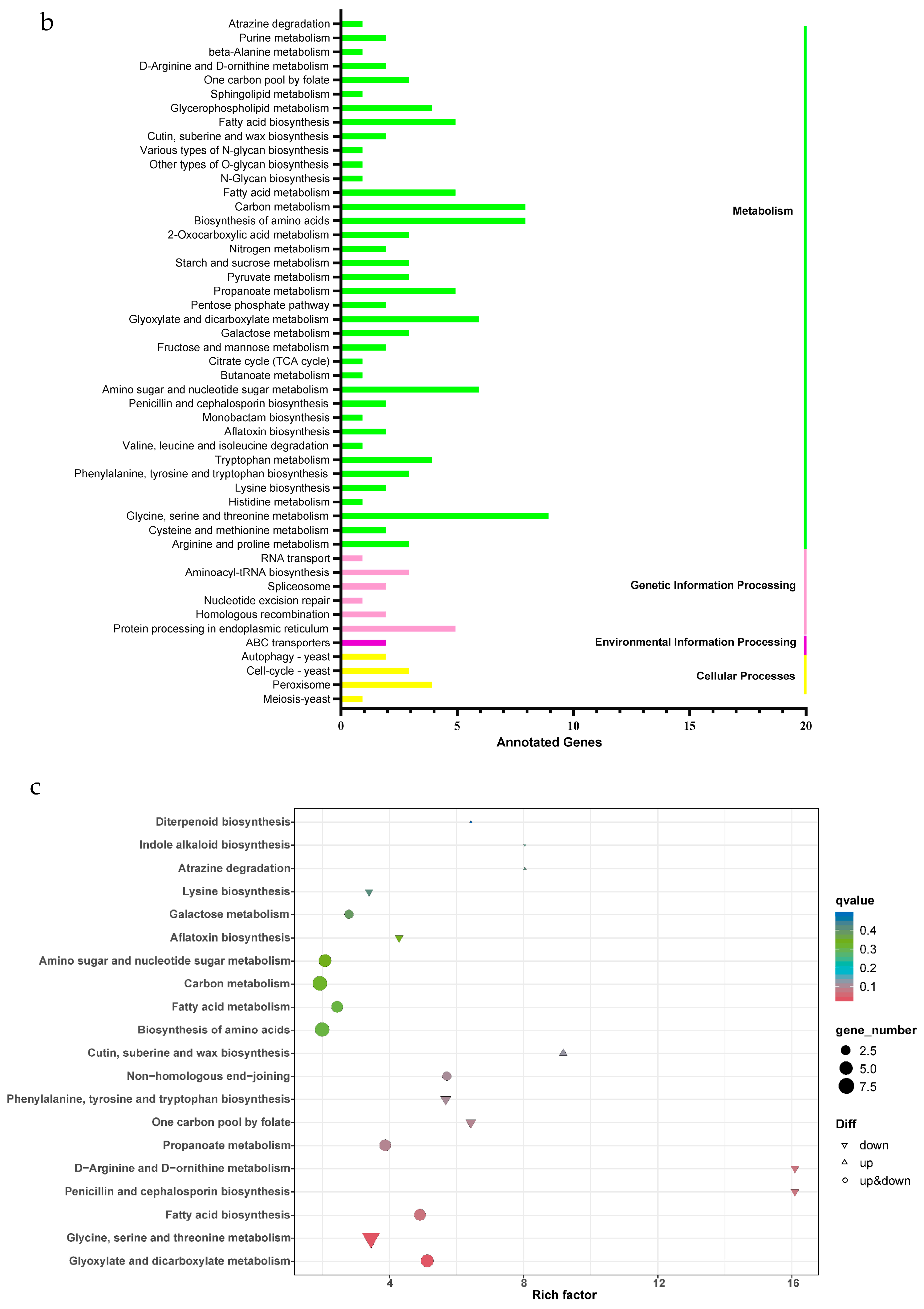 Ijms 25 09749 g005b Ijms 25 09749 g005b