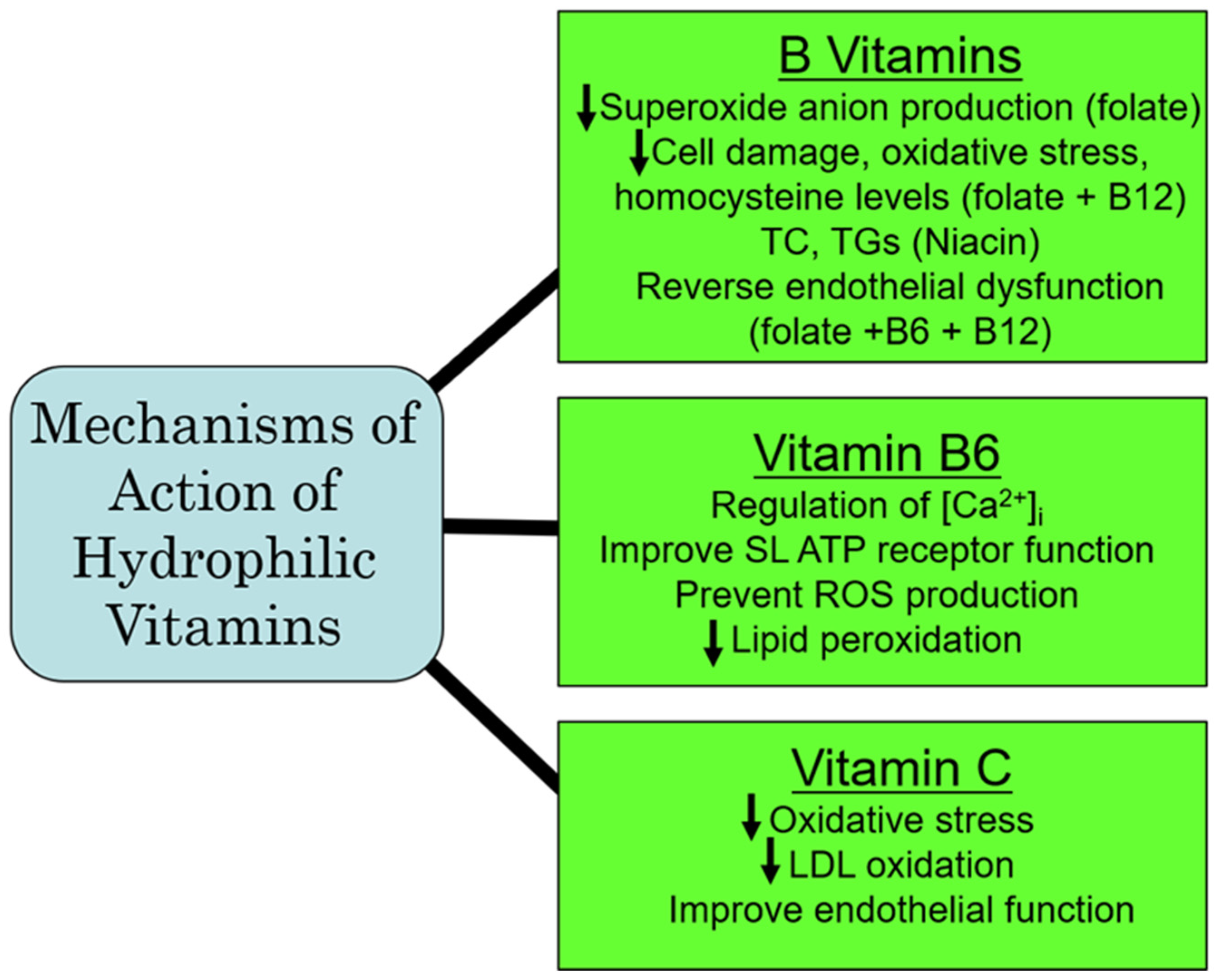 Ijms 25 09761 g003 Ijms 25 09761 g003