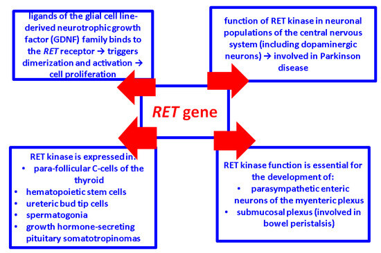 Ret Gene Thyroid Malignancy and Cutaneous Lichen Amyloidosis: Key Points Amid ...
