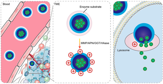 その他 yU RIP kinases as modulators of inflammation and immunity