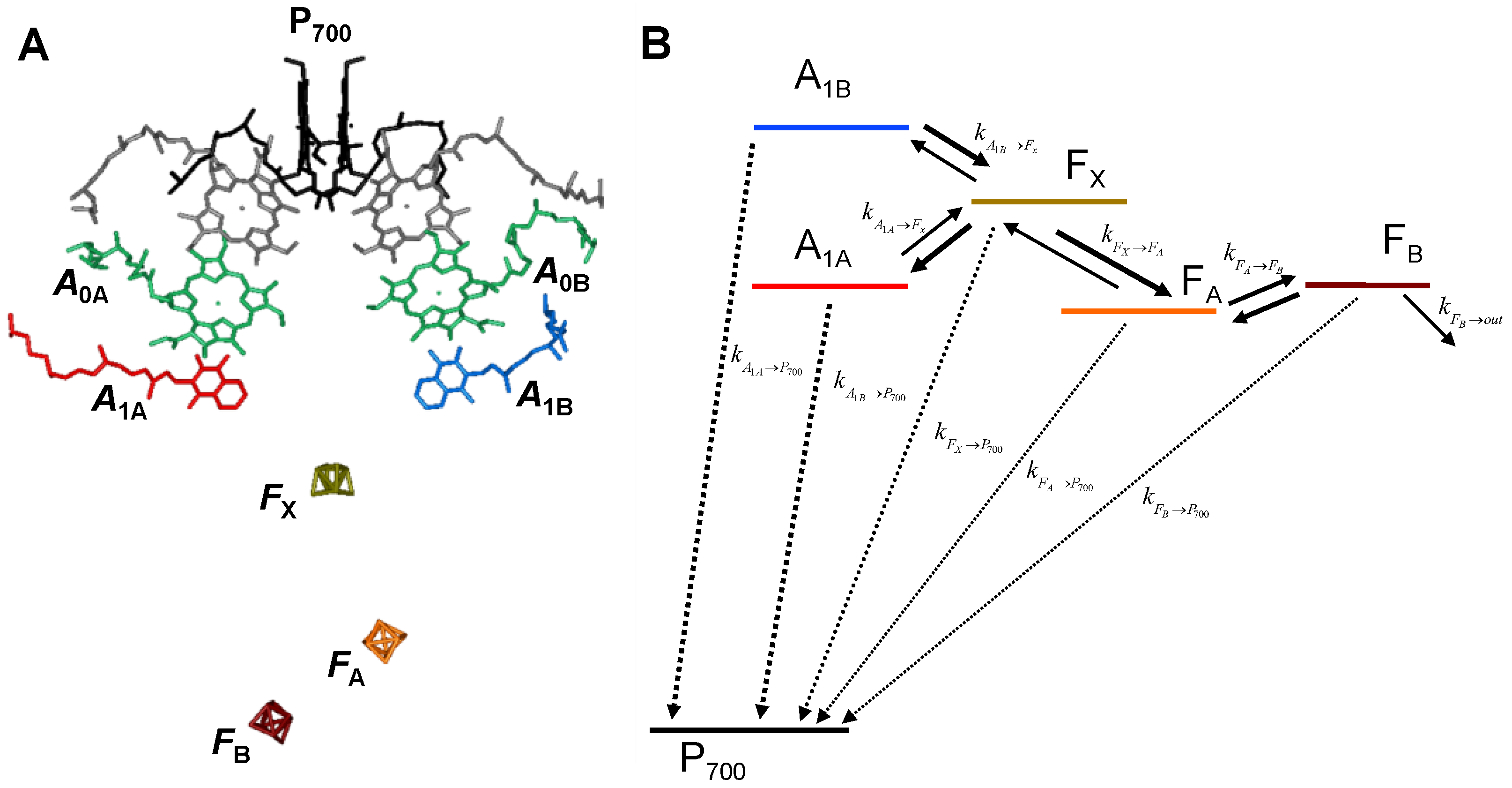 Ijms 25 09795 g001 Ijms 25 09795 g001