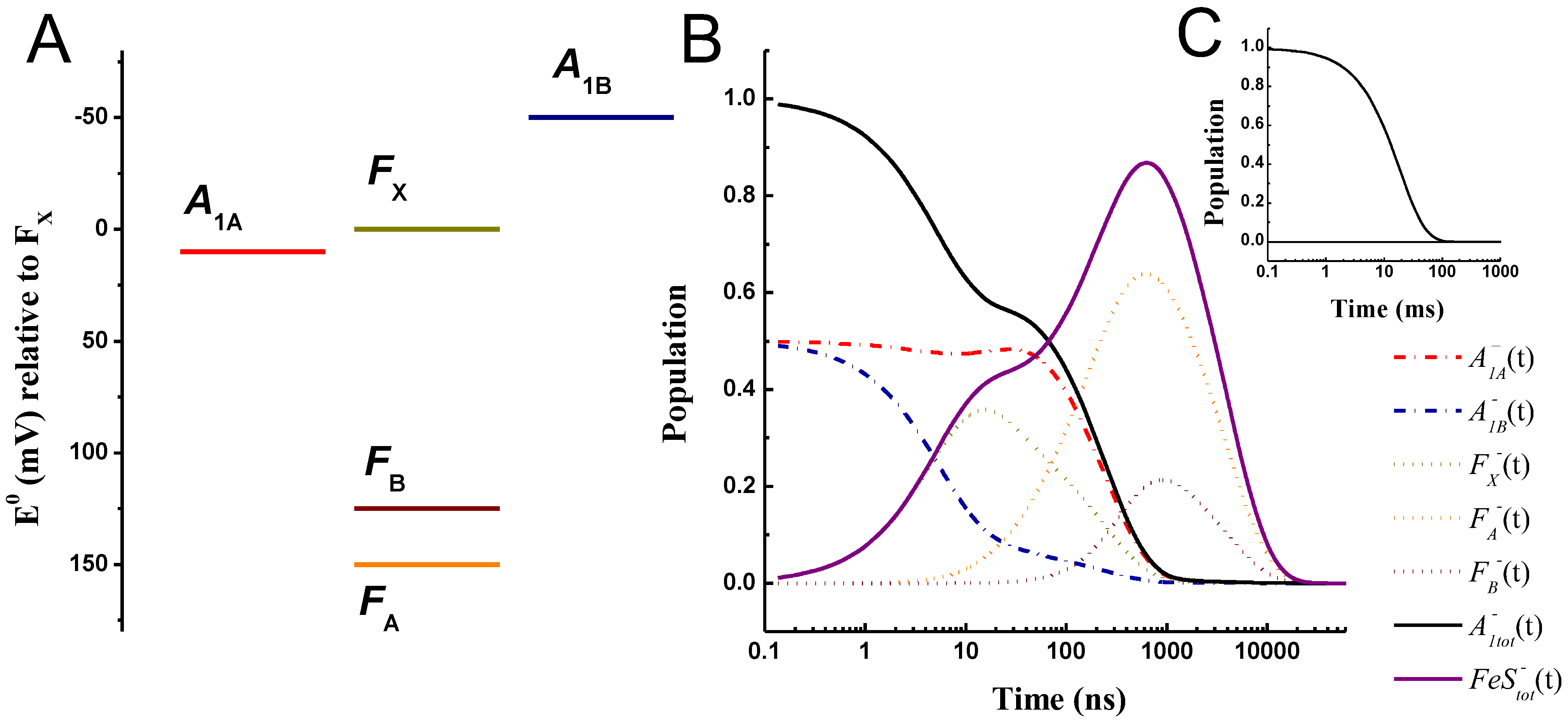 Ijms 25 09795 g002 Ijms 25 09795 g002