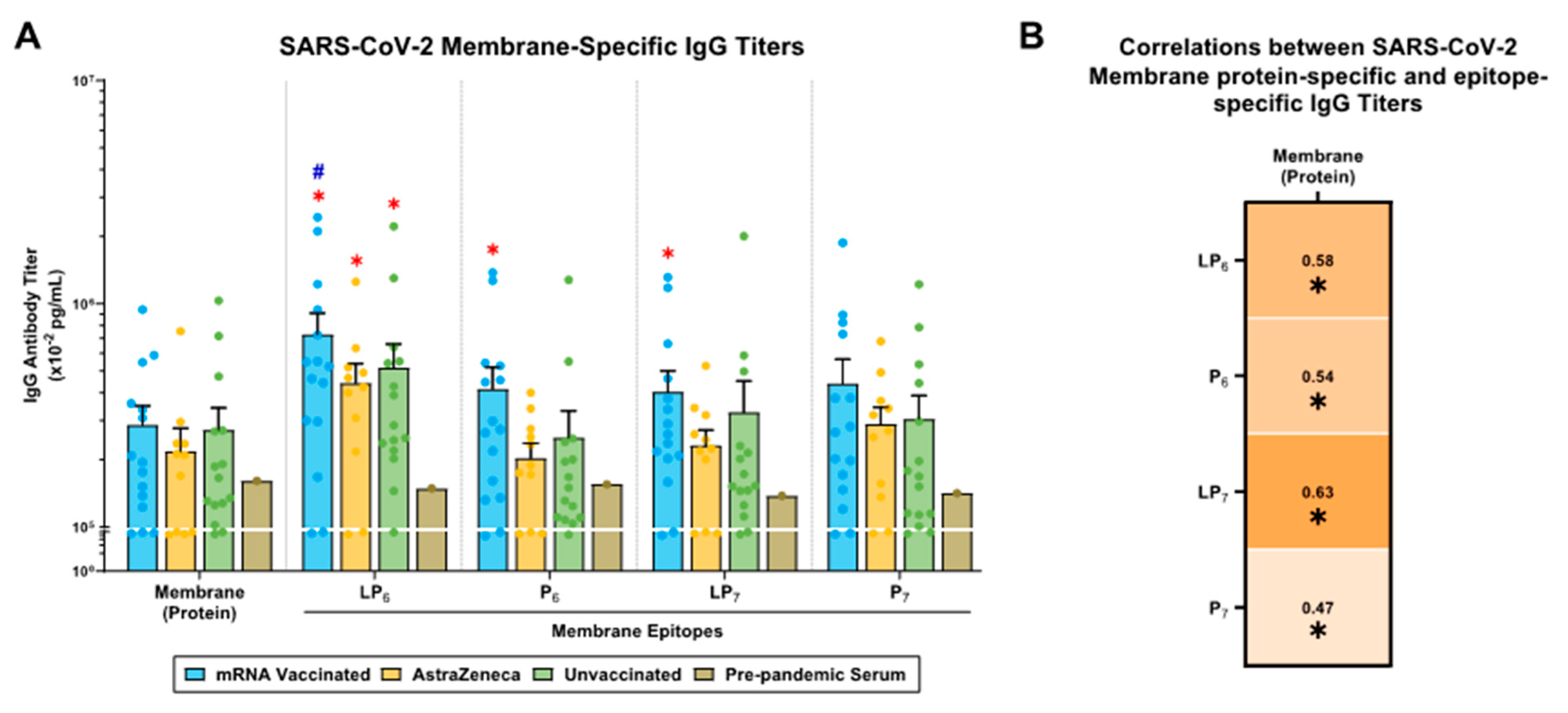 Ijms 25 09814 g004 Ijms 25 09814 g004