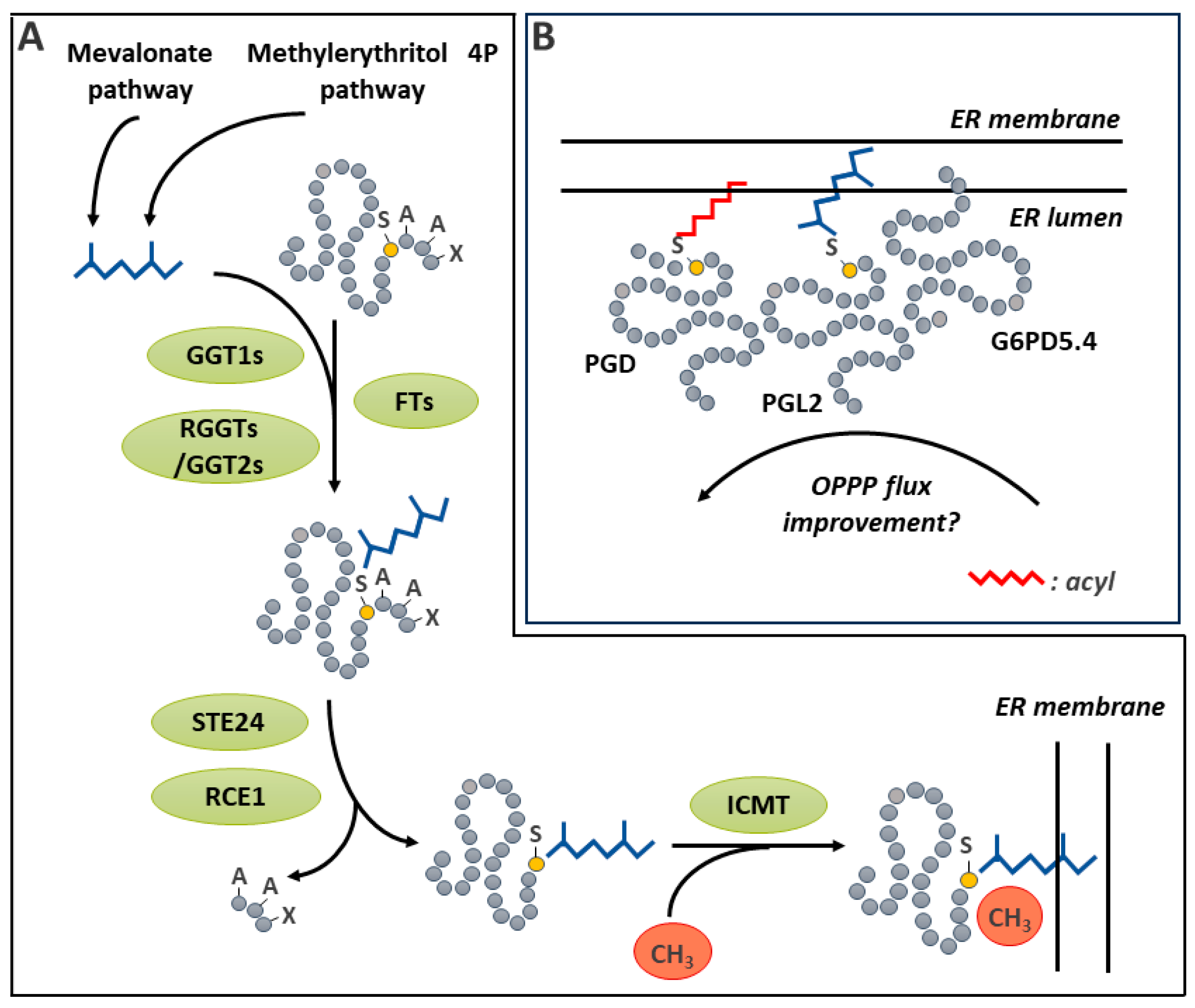 Ijms 25 09845 g010 Ijms 25 09845 g010