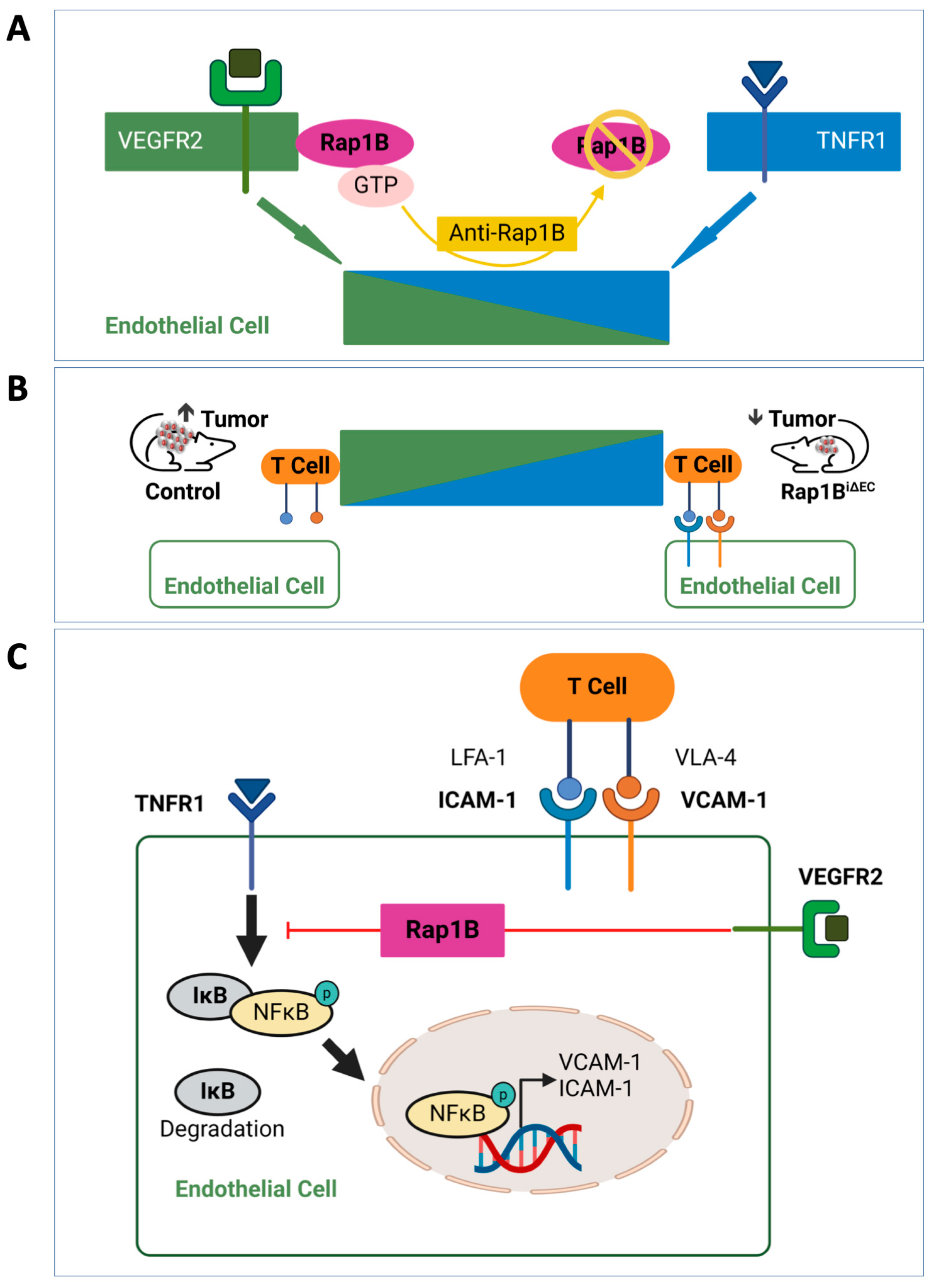 Ijms 25 09853 g001 Ijms 25 09853 g001