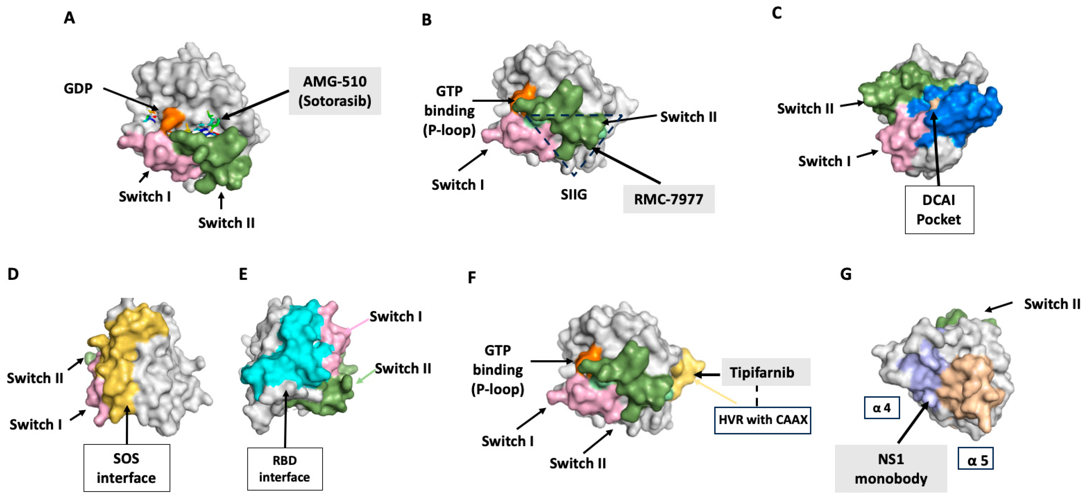 Ijms 25 09853 g002 Ijms 25 09853 g002