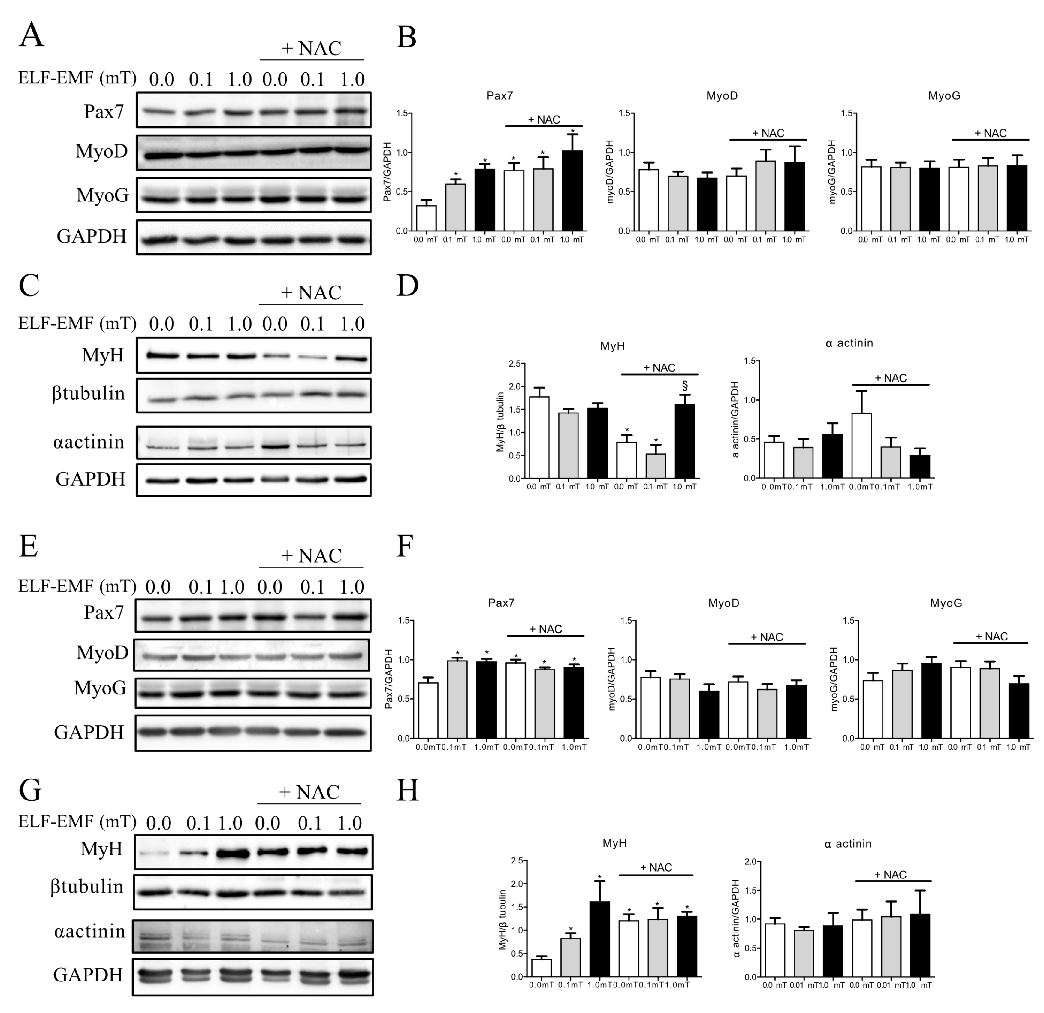 Ijms 25 09857 g002 Ijms 25 09857 g002