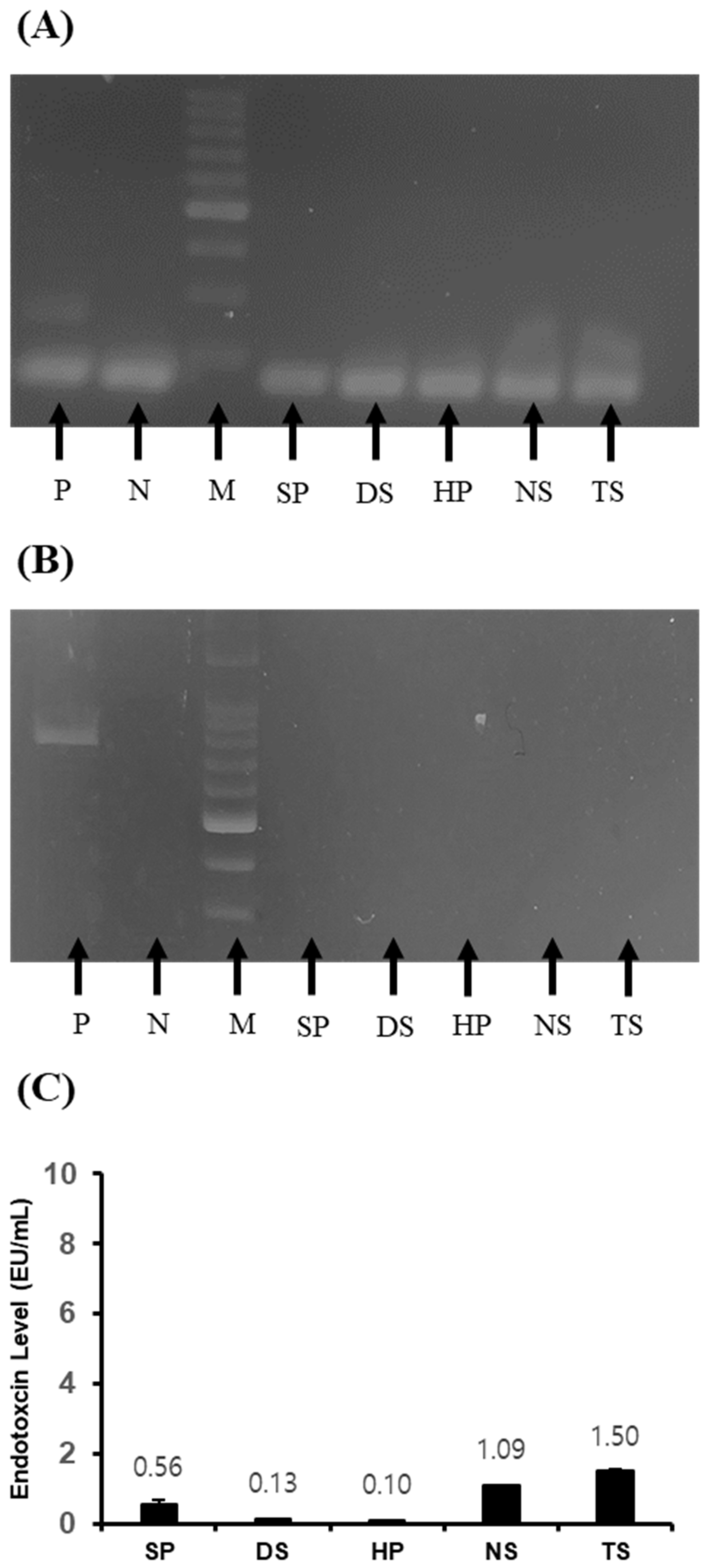 Ijms 25 09881 g001 Ijms 25 09881 g001