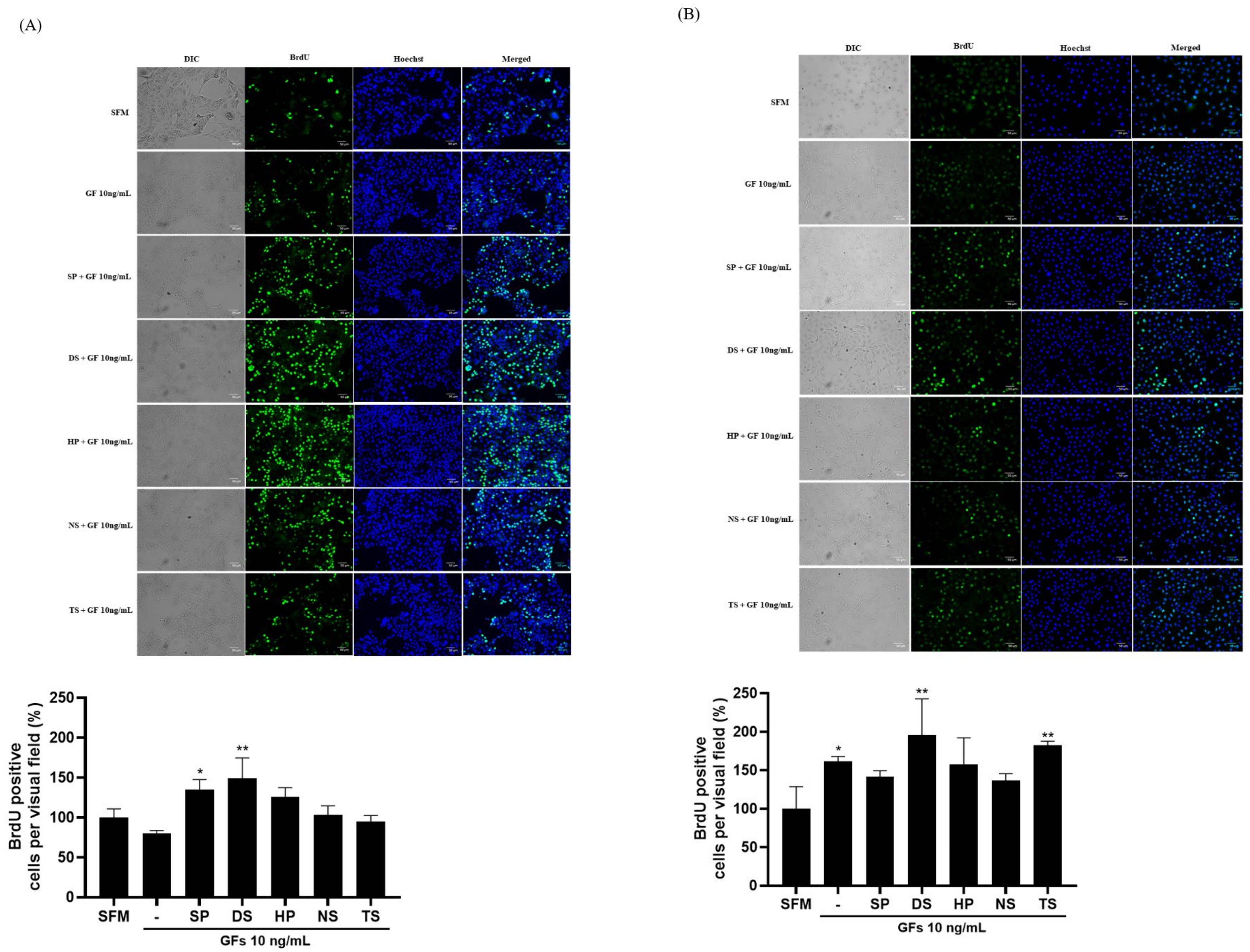 Ijms 25 09881 g006 Ijms 25 09881 g006