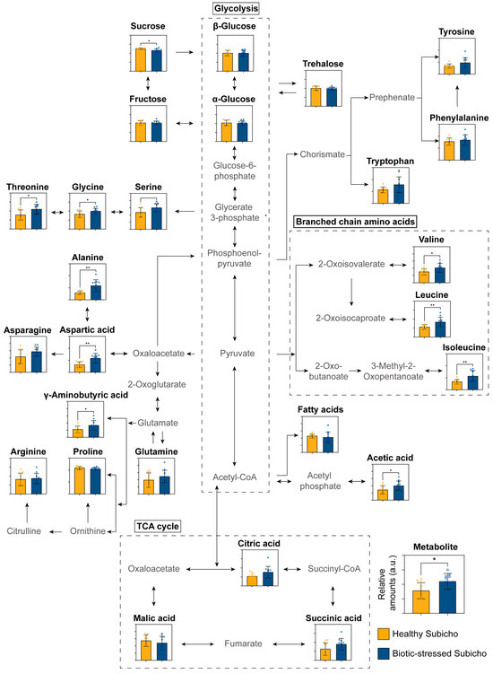 NMR-Based Metabolomic Analysis of Biotic Stress Responses in the