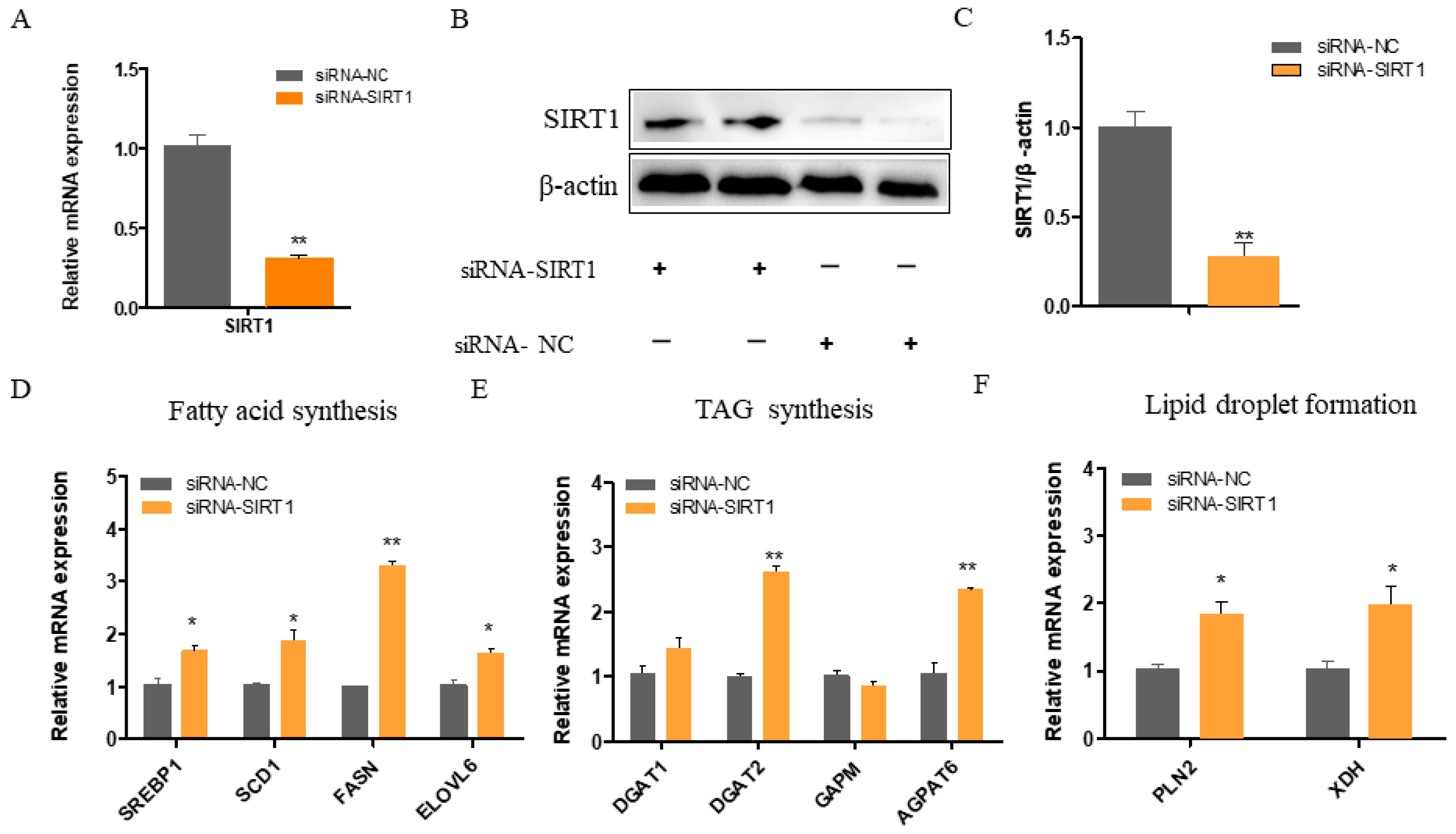 Ijms 25 09923 g002 Ijms 25 09923 g002