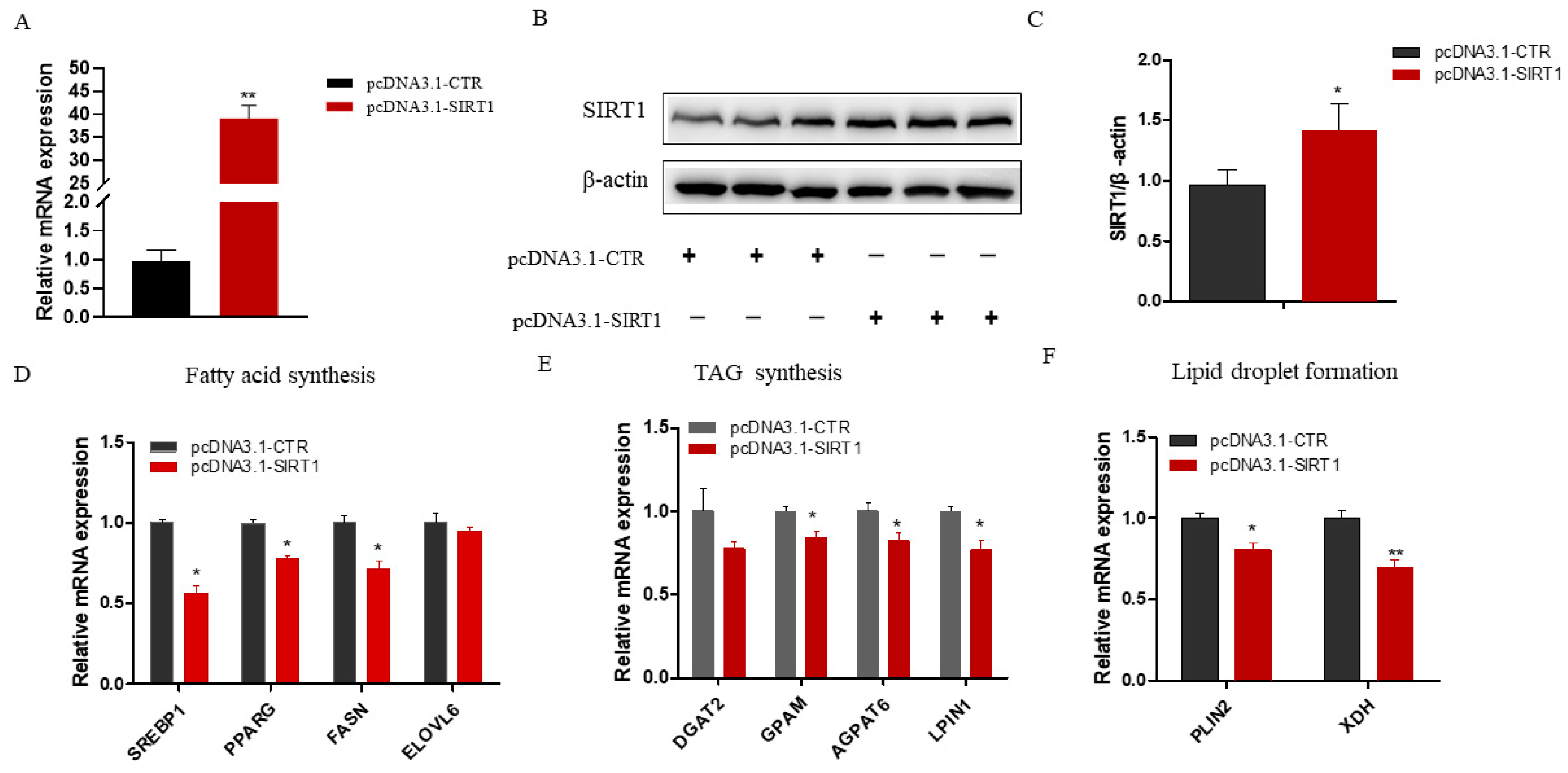 Ijms 25 09923 g003 Ijms 25 09923 g003