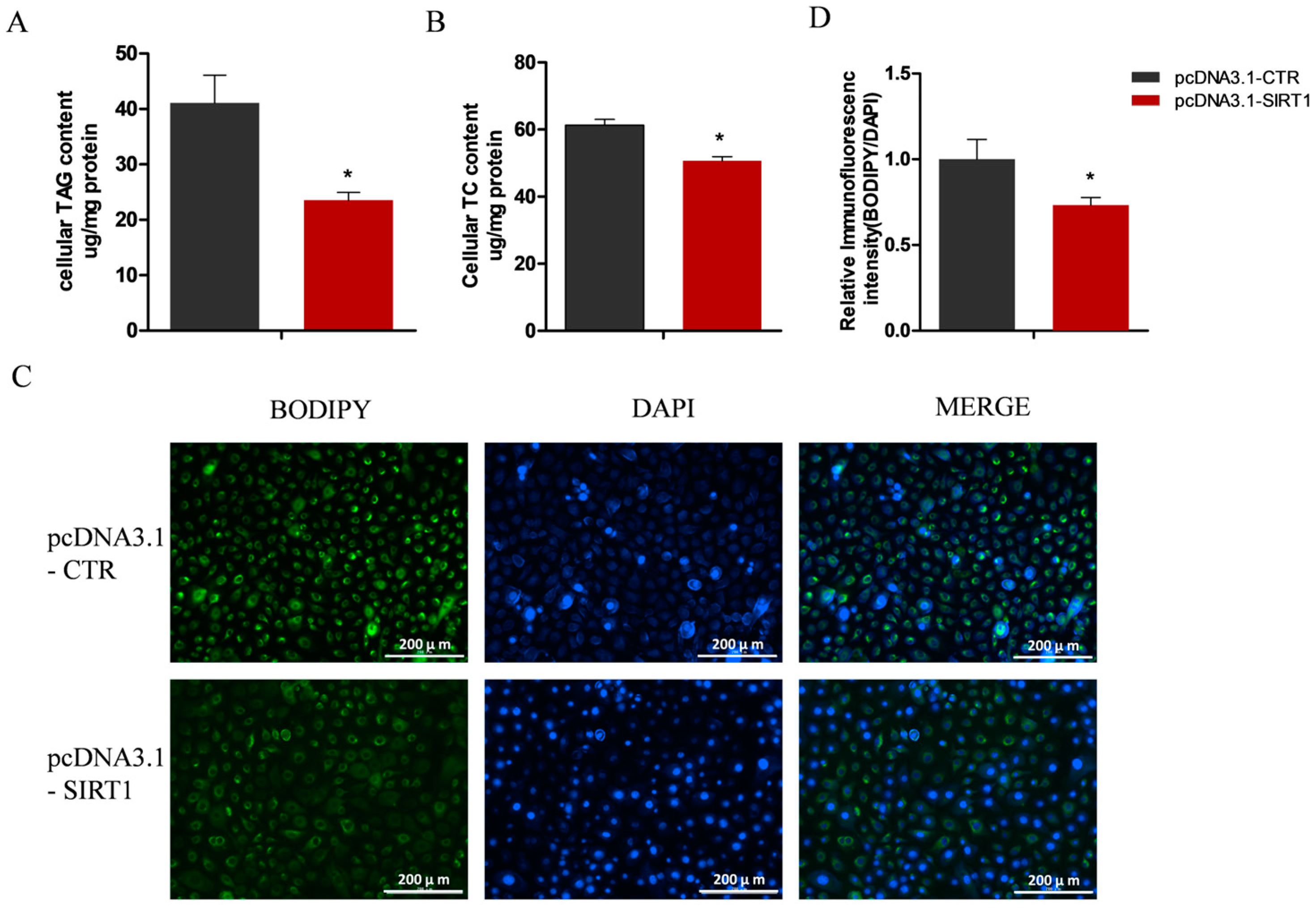 Ijms 25 09923 g005 Ijms 25 09923 g005