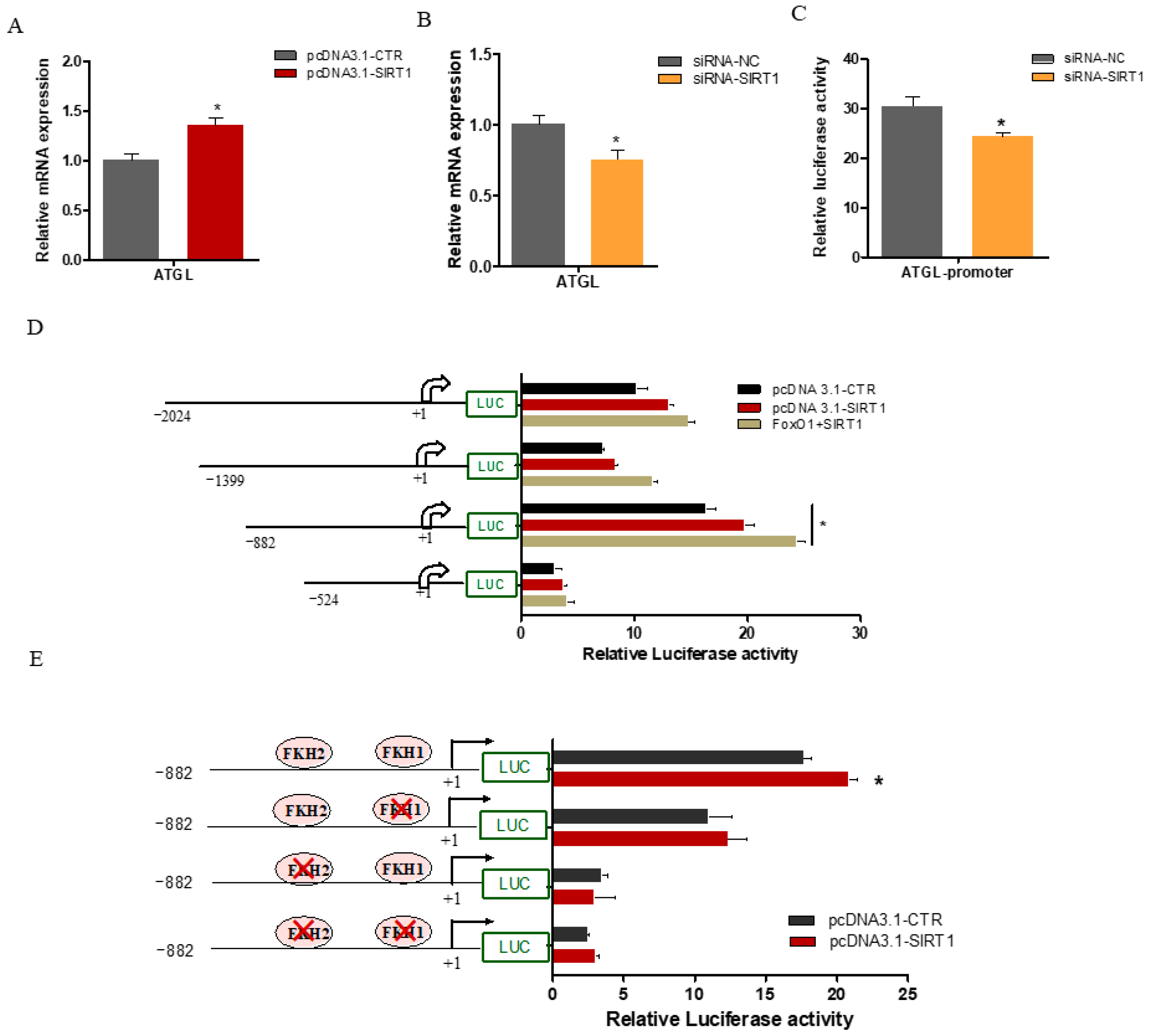 Ijms 25 09923 g006 Ijms 25 09923 g006