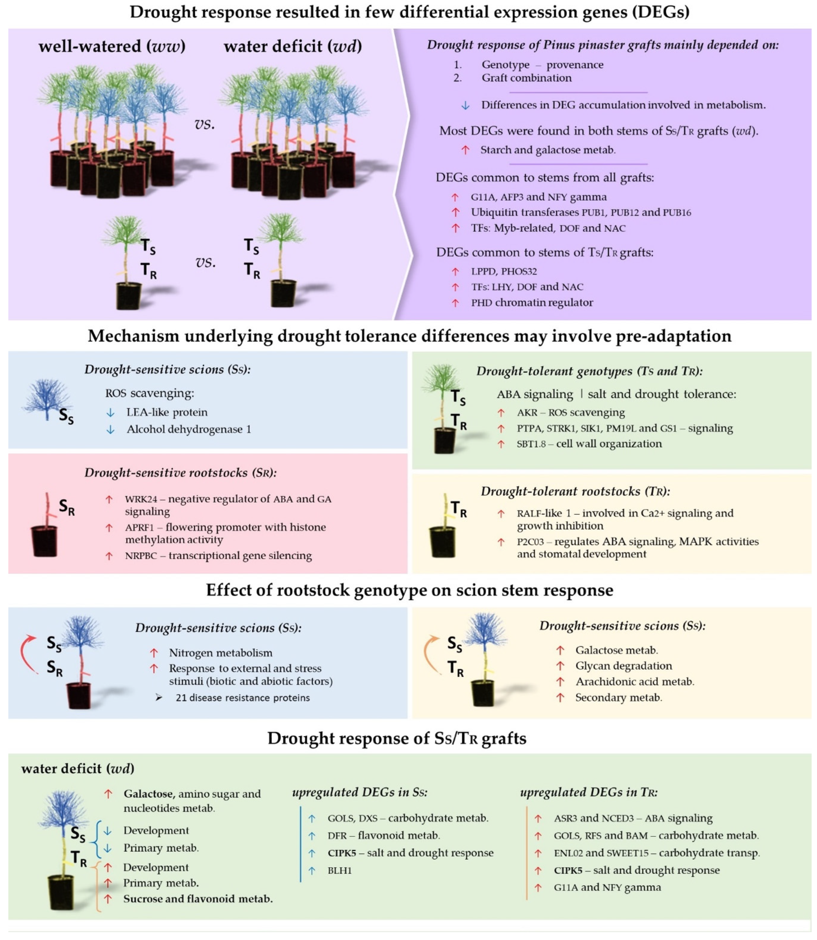 Ijms 25 09926 sch001