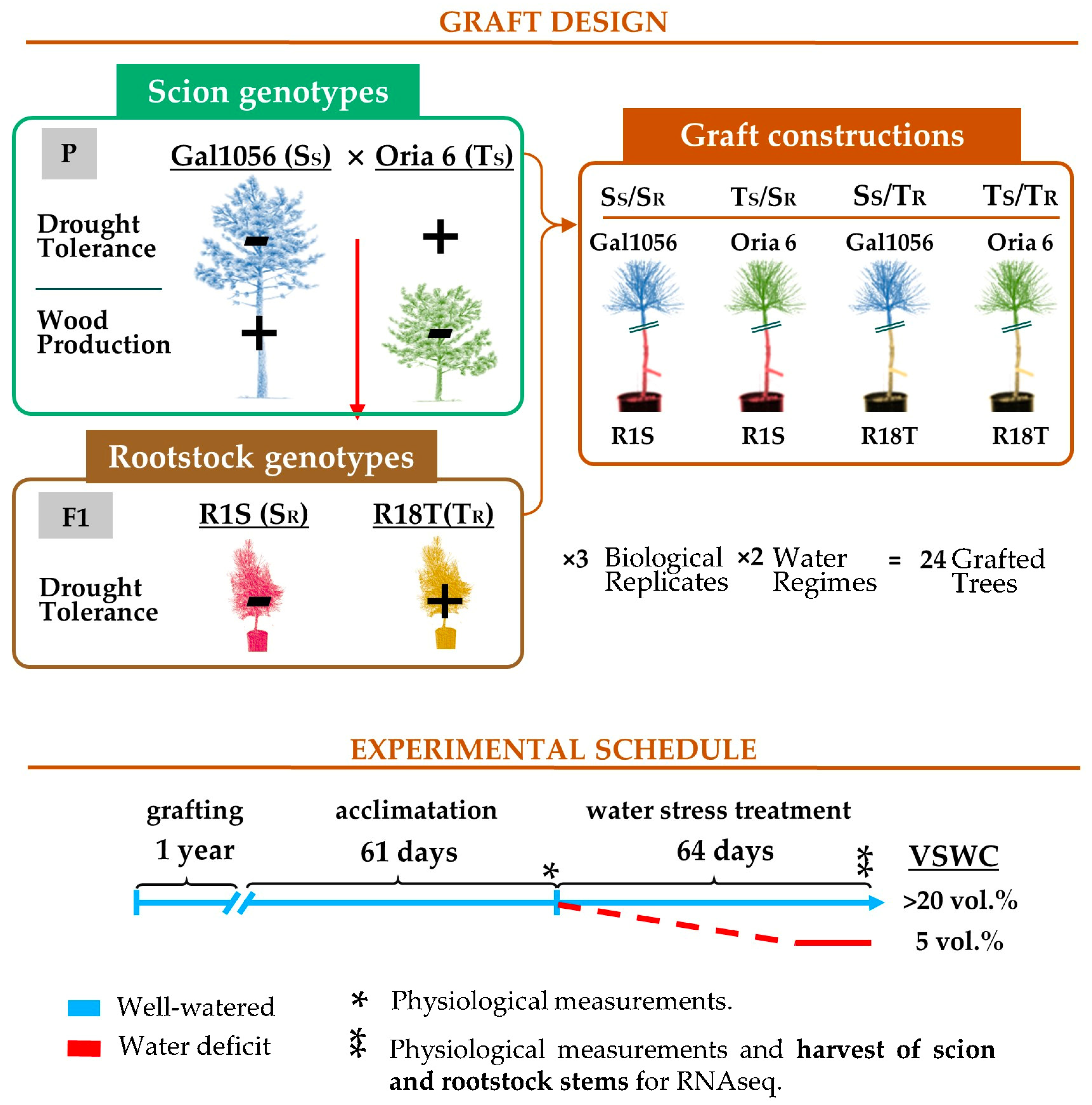 Ijms 25 09926 sch002