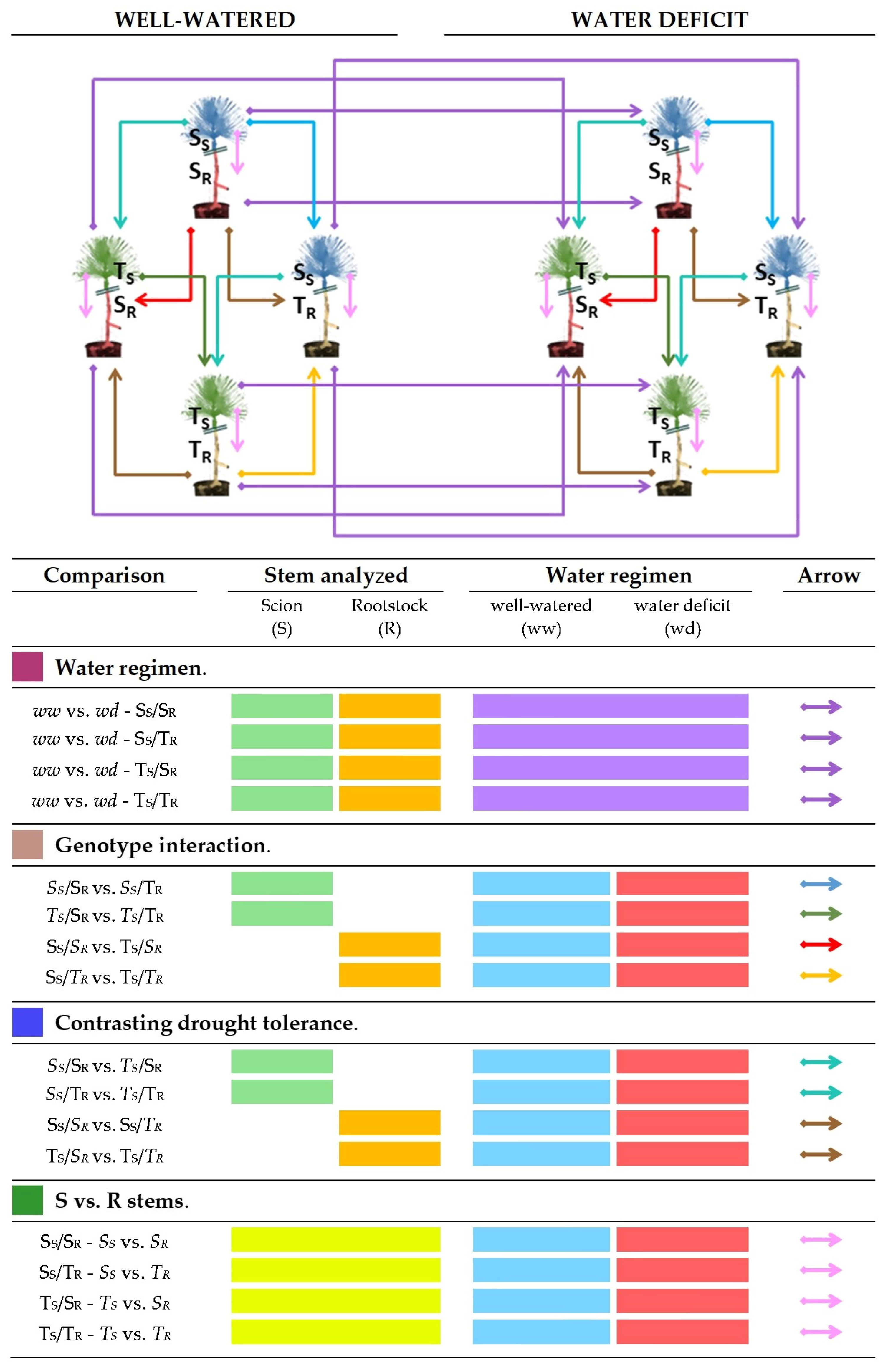 Ijms 25 09926 sch003