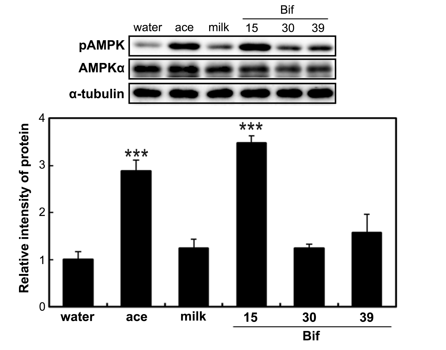Ijms 25 09934 g002 Ijms 25 09934 g002