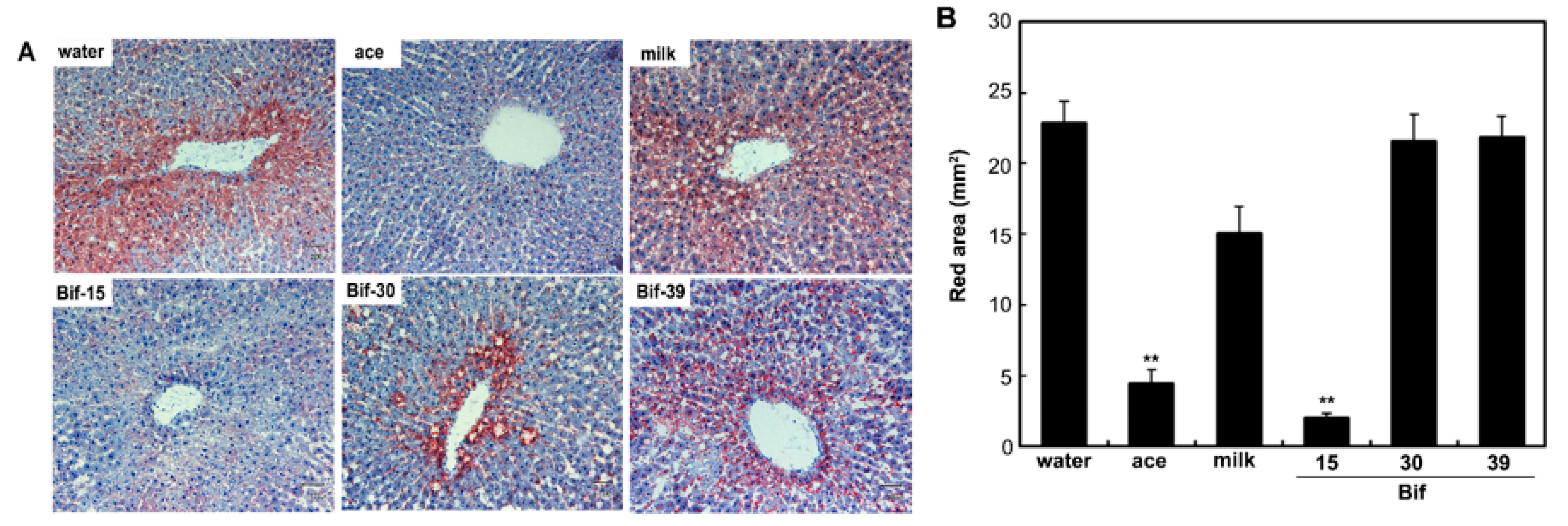 Ijms 25 09934 g004 Ijms 25 09934 g004