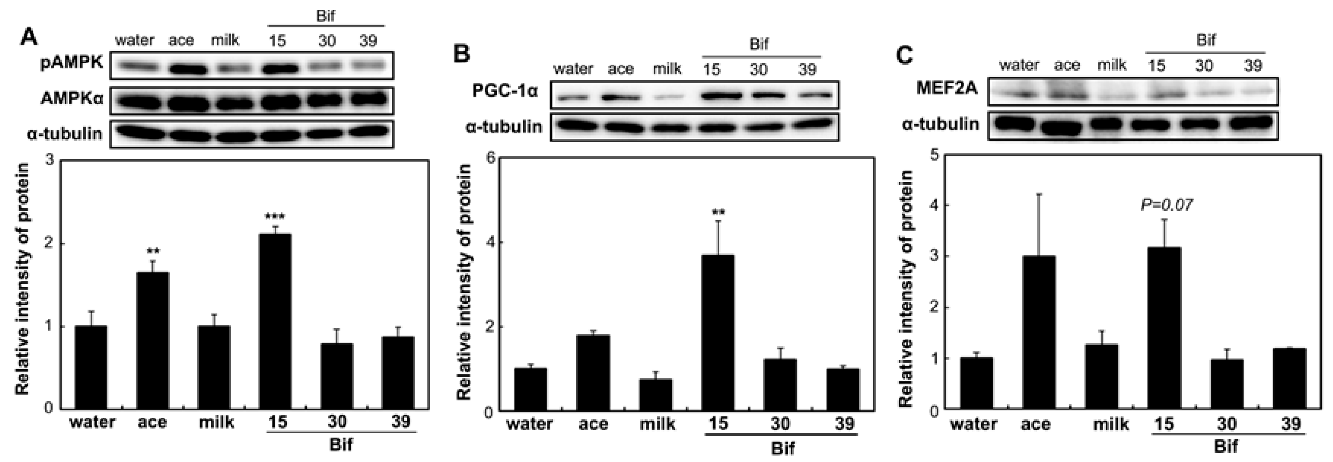 Ijms 25 09934 g007 Ijms 25 09934 g007