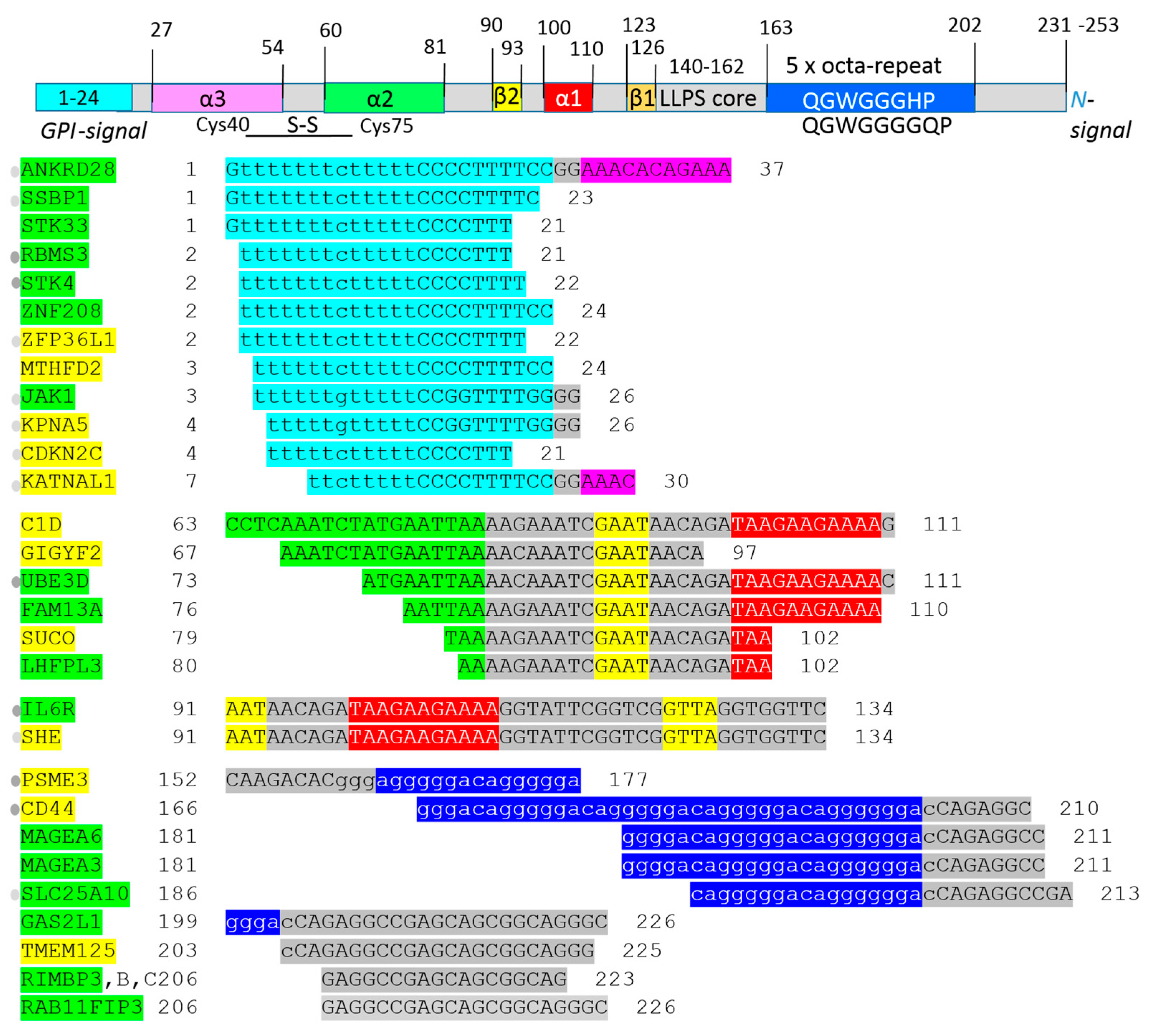 Ijms 25 09961 g004 Ijms 25 09961 g004