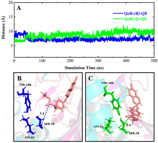 Mechanistic Insight into the Enantioselective Degradation of