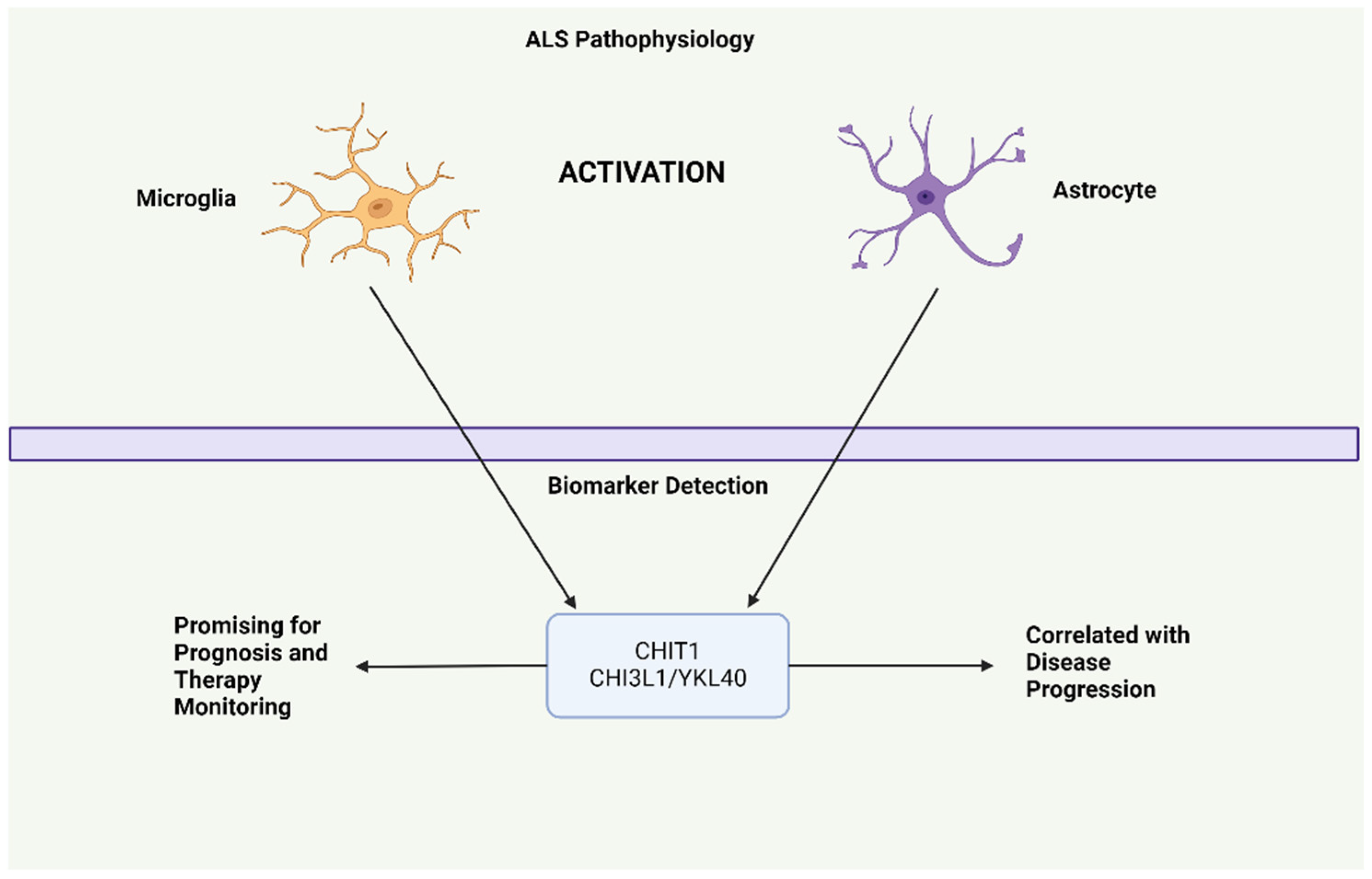 Ijms 25 09966 g001 Ijms 25 09966 g001